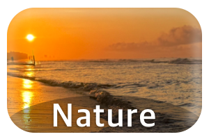 beach, sunset, sunrise, mountains, sky, lights, tunnels, snow, fall, summer, spring, flowers, leaves