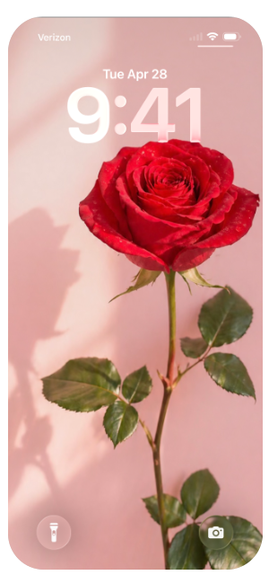 rose pink red pretty wallpaper nature floral