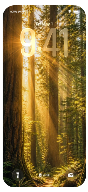 Forest Sunshine