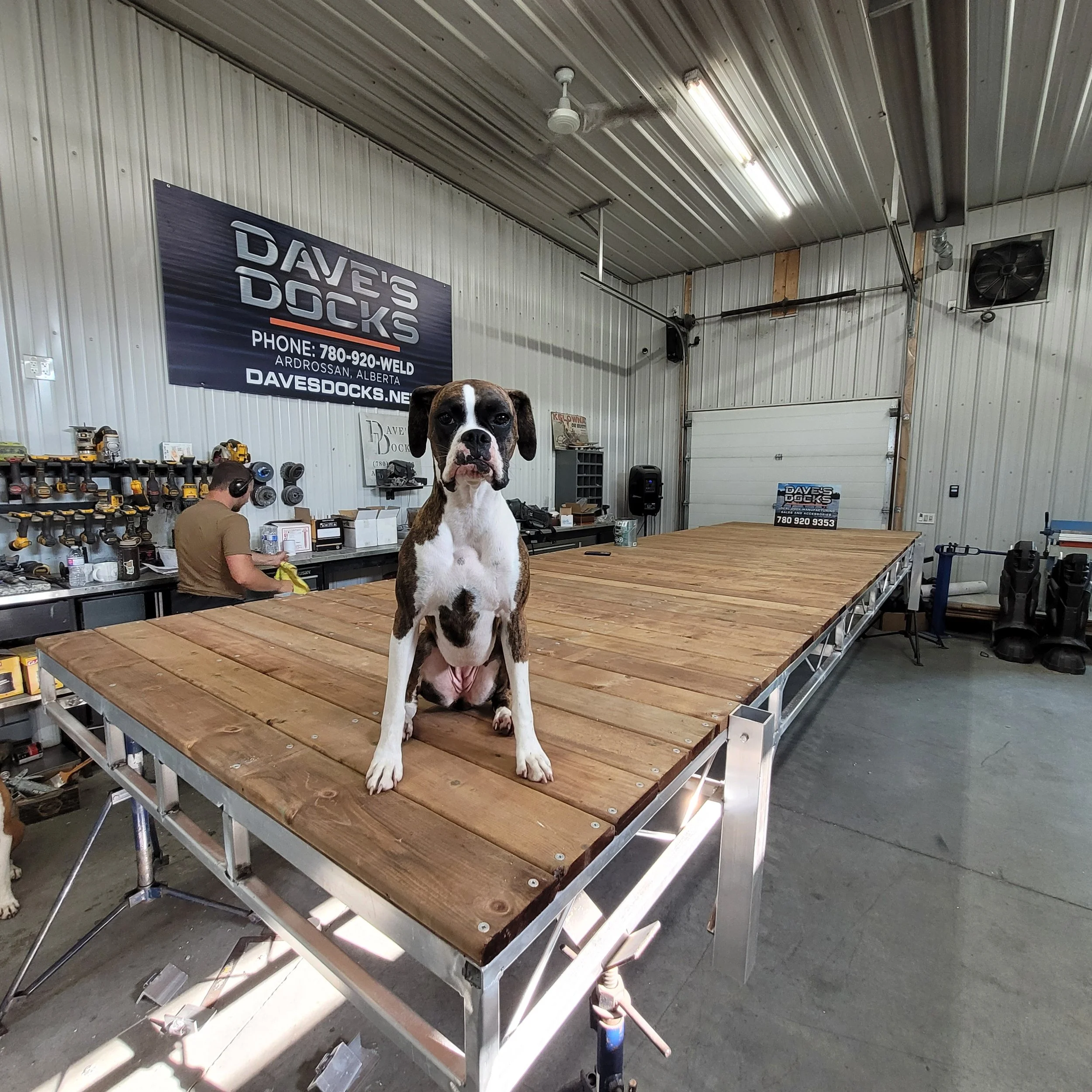 A dog with brown and white fur sitting on a custom premium built Daves Dock aluminum boat dock, with an industrial workshop in the background showing a man working, tools on shelves, and a large banner for Dave's Docks.
