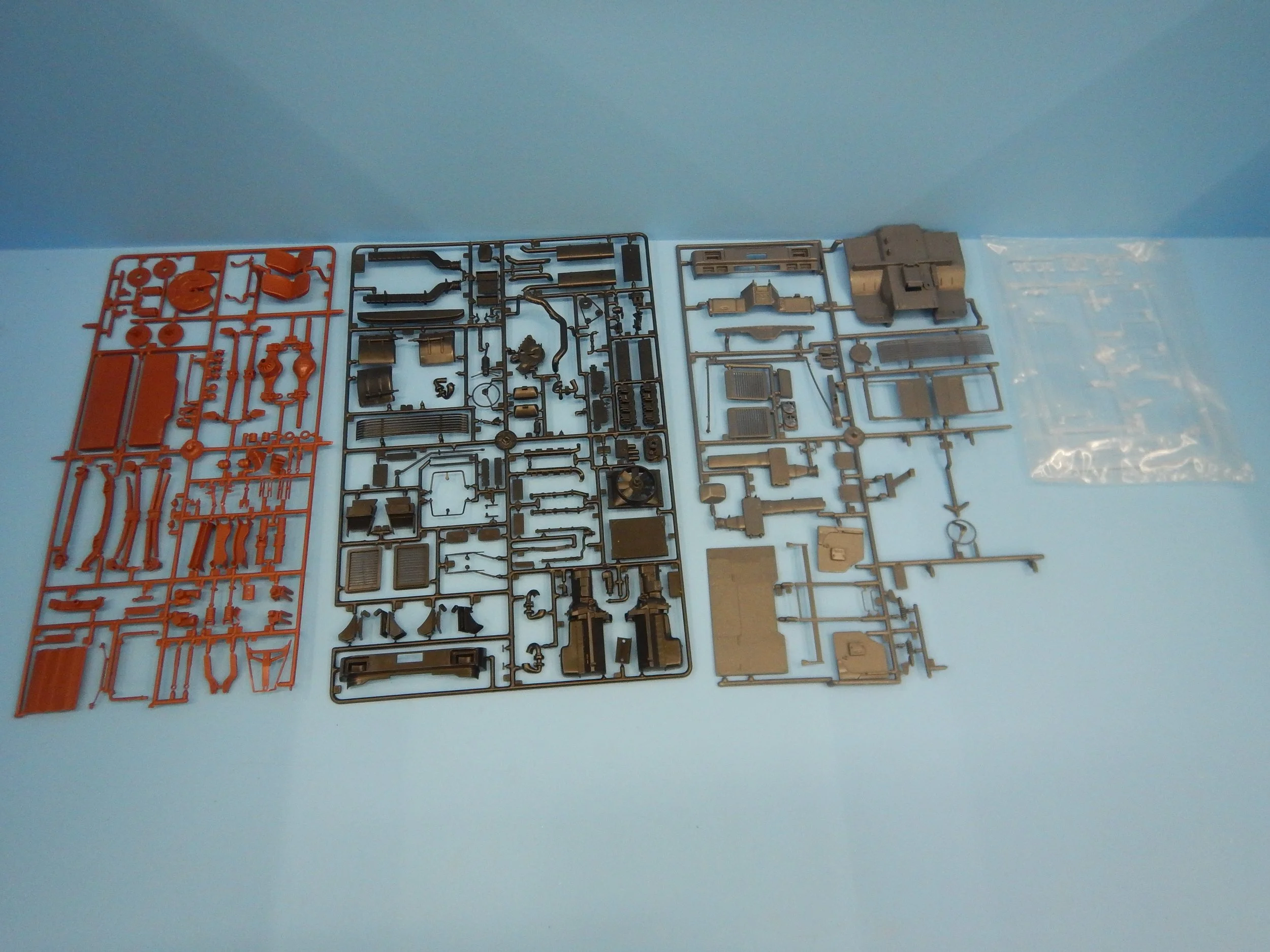 DSCN8654.JPG