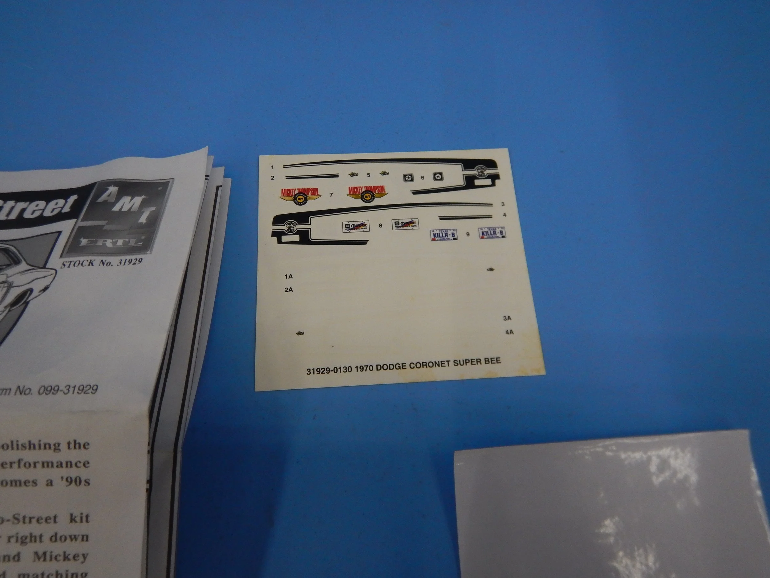 DSCN8542.JPG