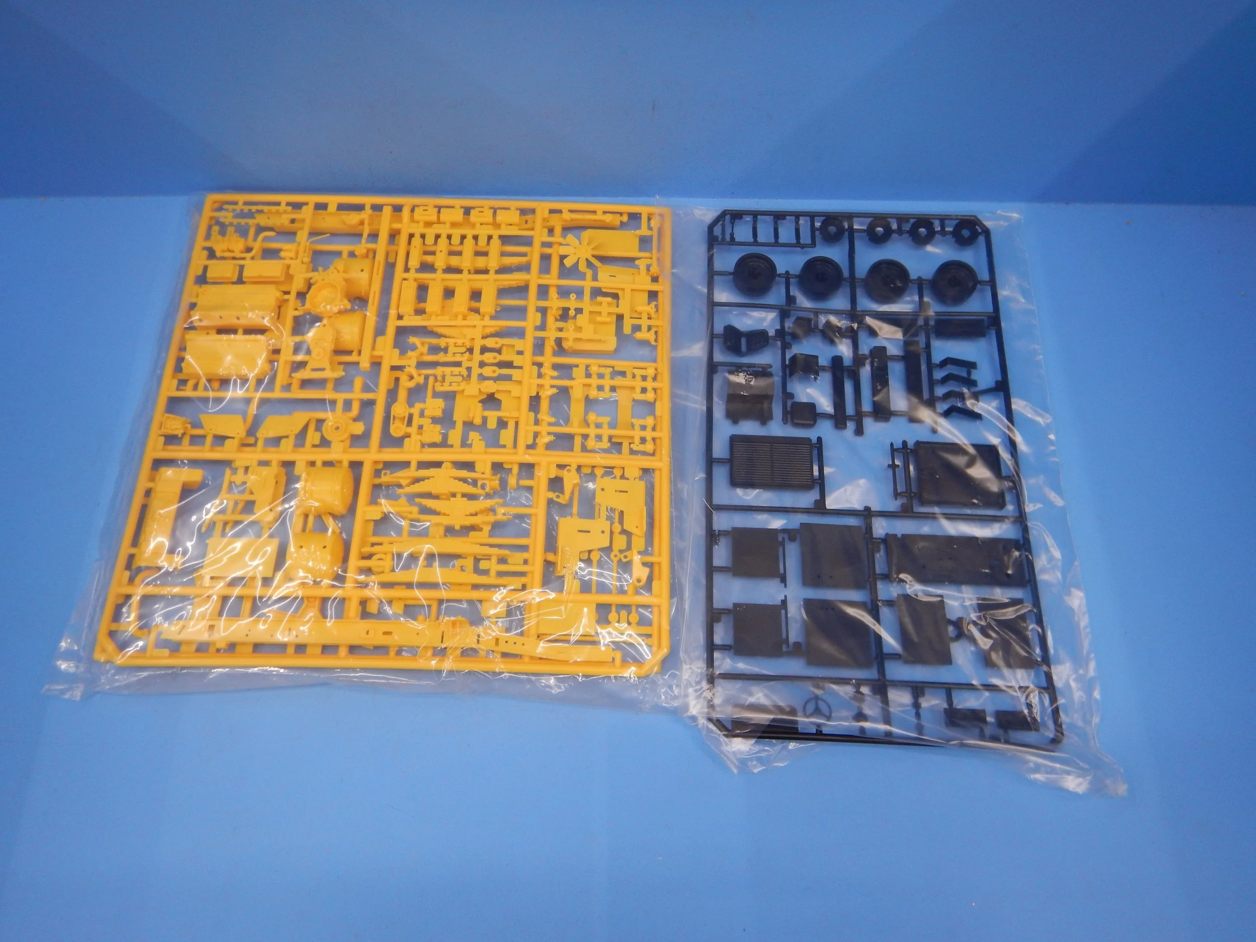 DSCN1699.JPG