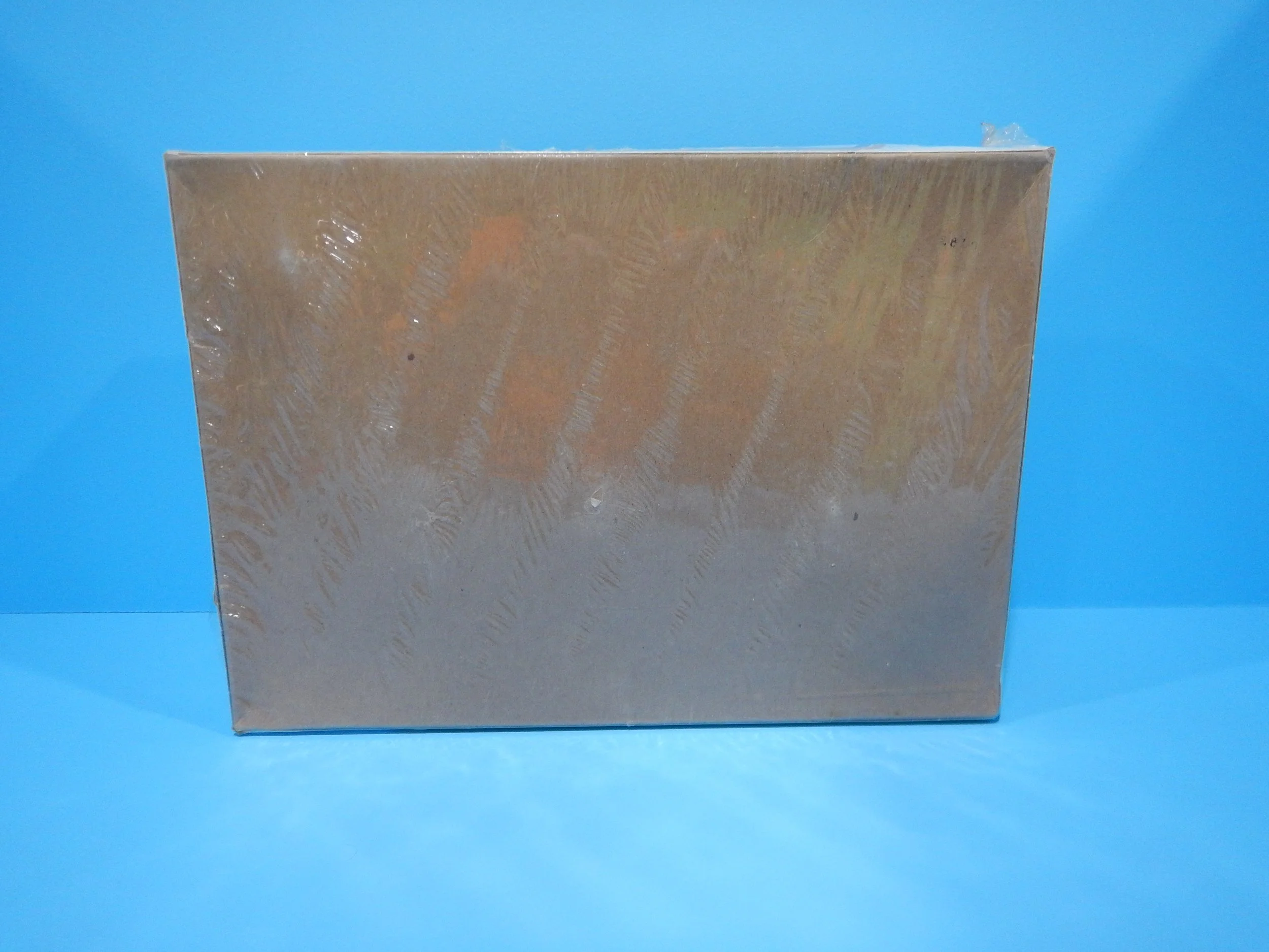 DSCN1880.JPG