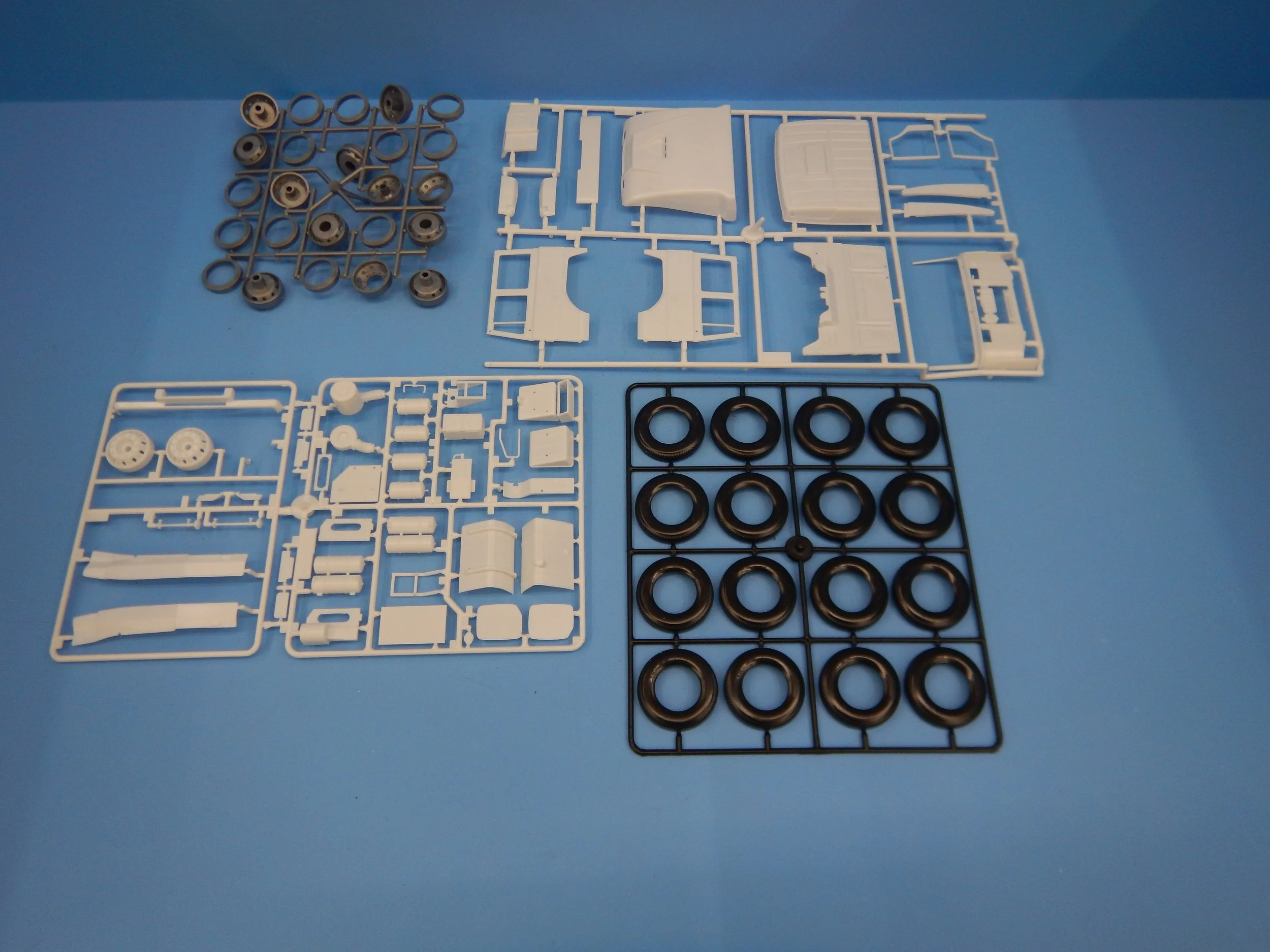 DSCN8656.JPG