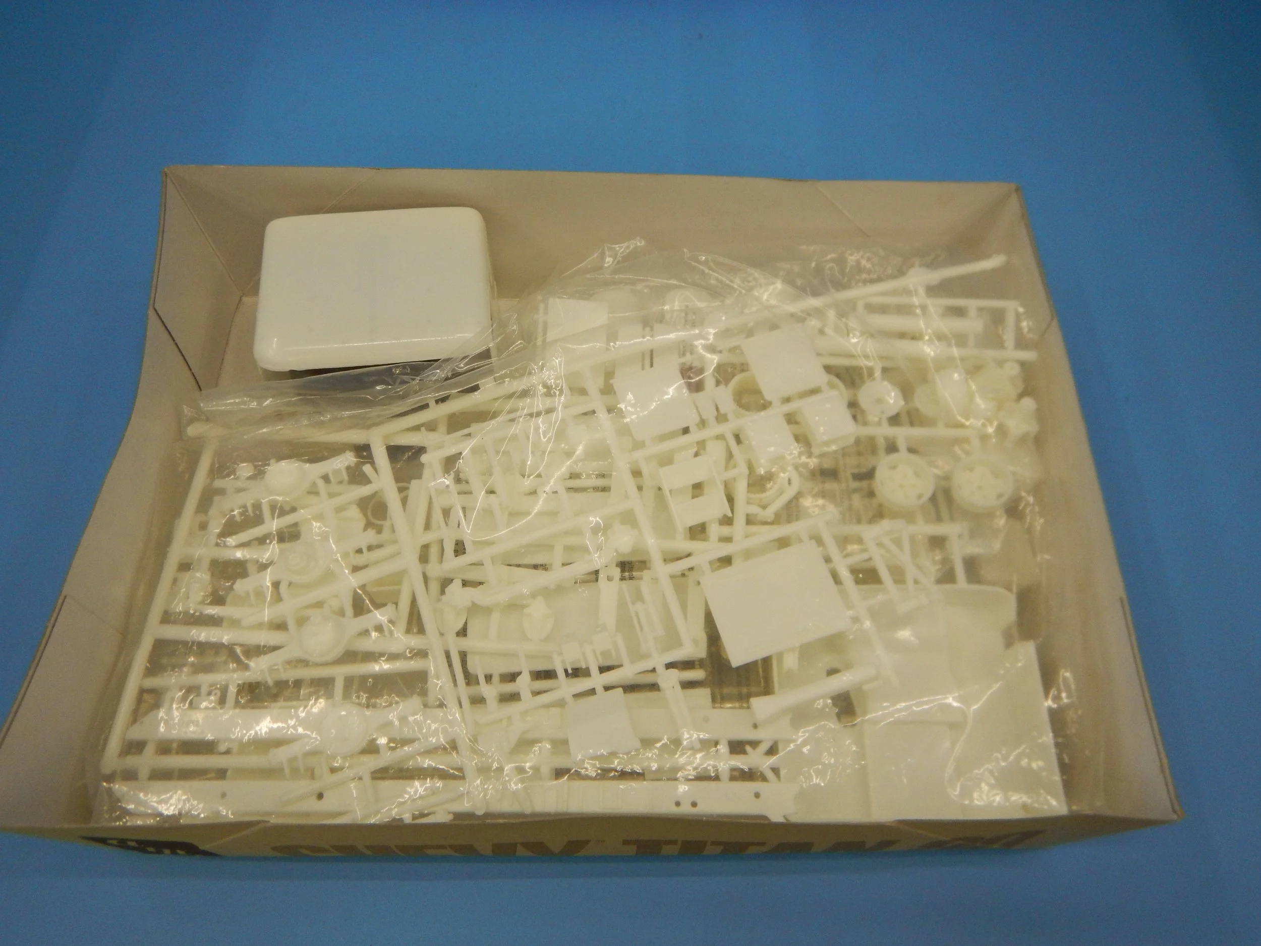 DSCN9515.JPG