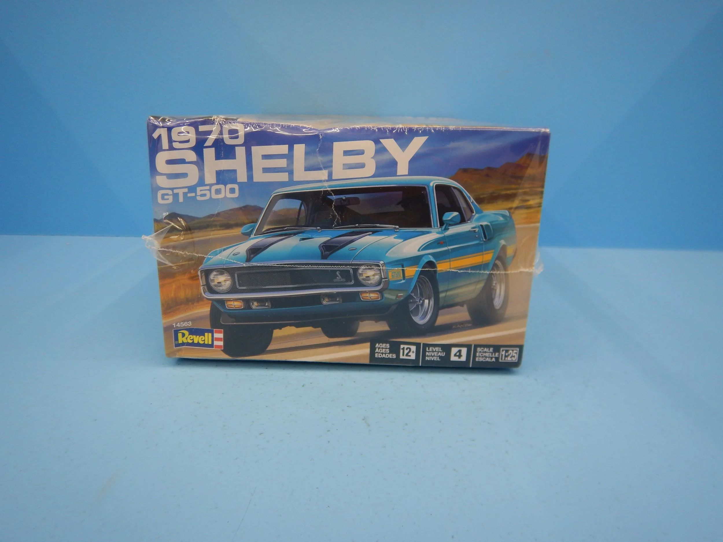 DSCN9238.JPG