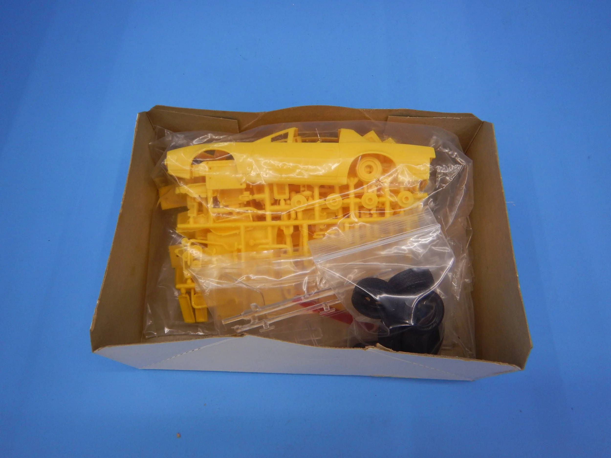 DSCN1955.JPG