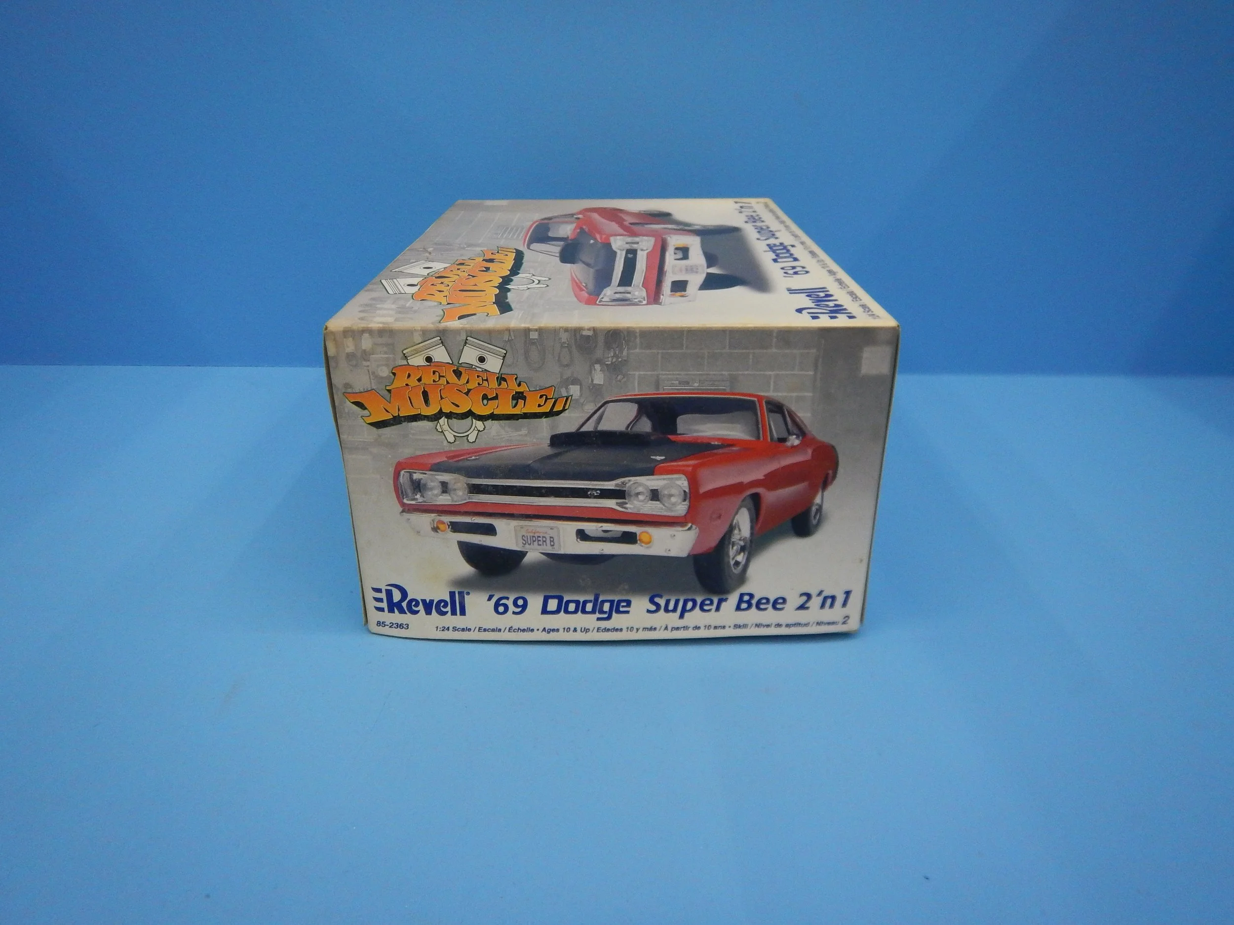 DSCN8515.JPG