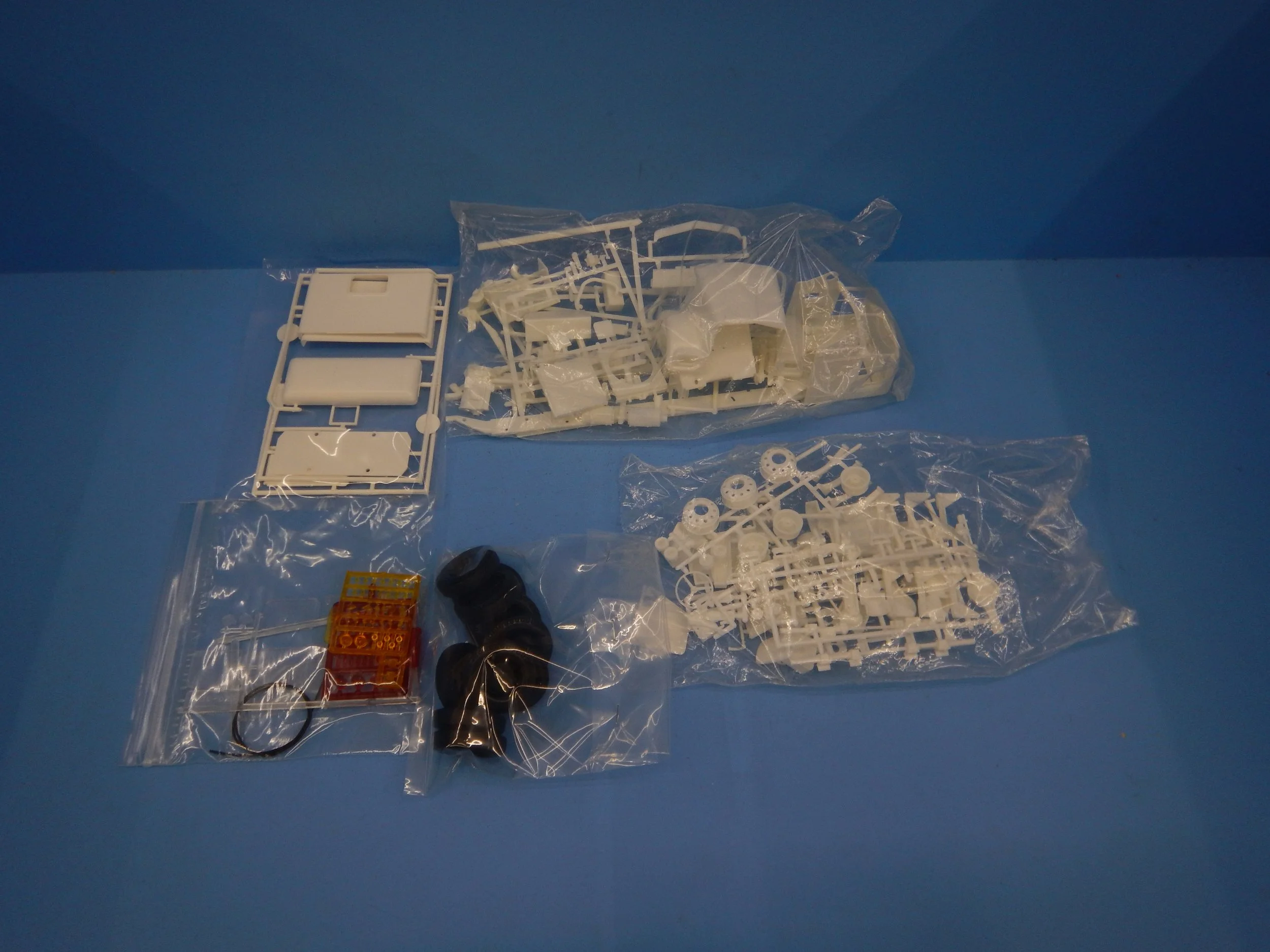 DSCN1654.JPG