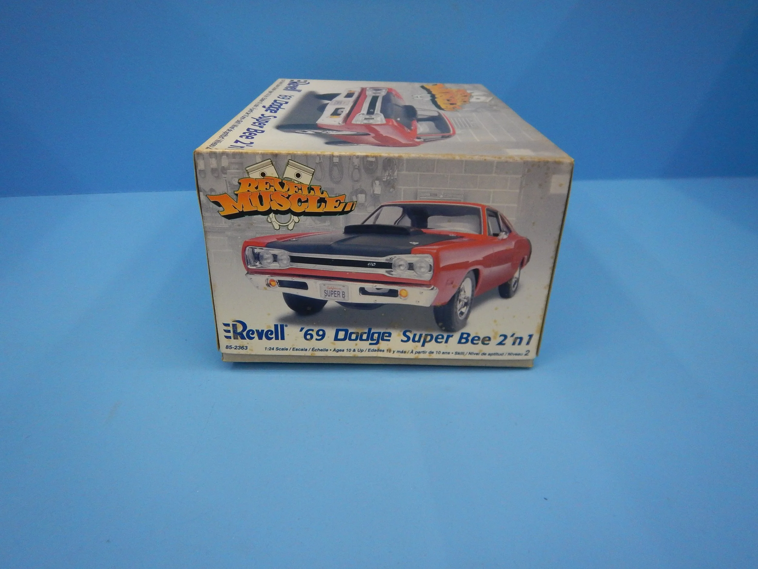 DSCN8517.JPG