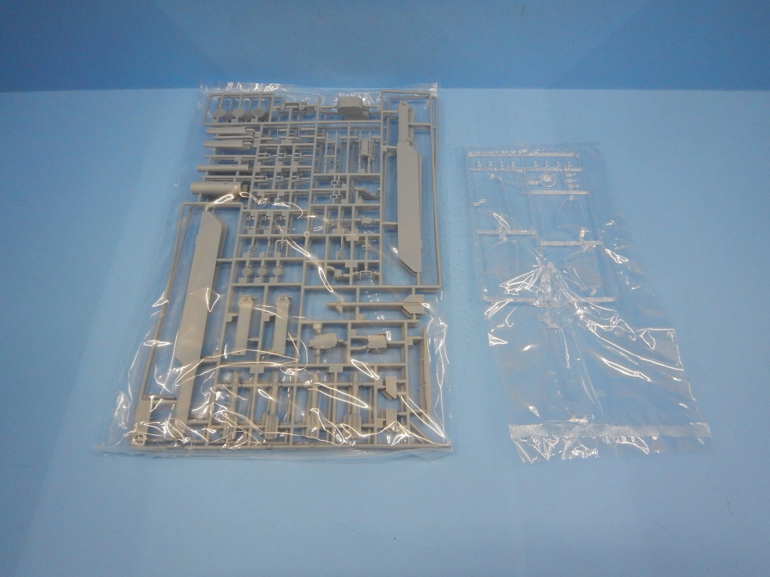 DSCN9648.JPG
