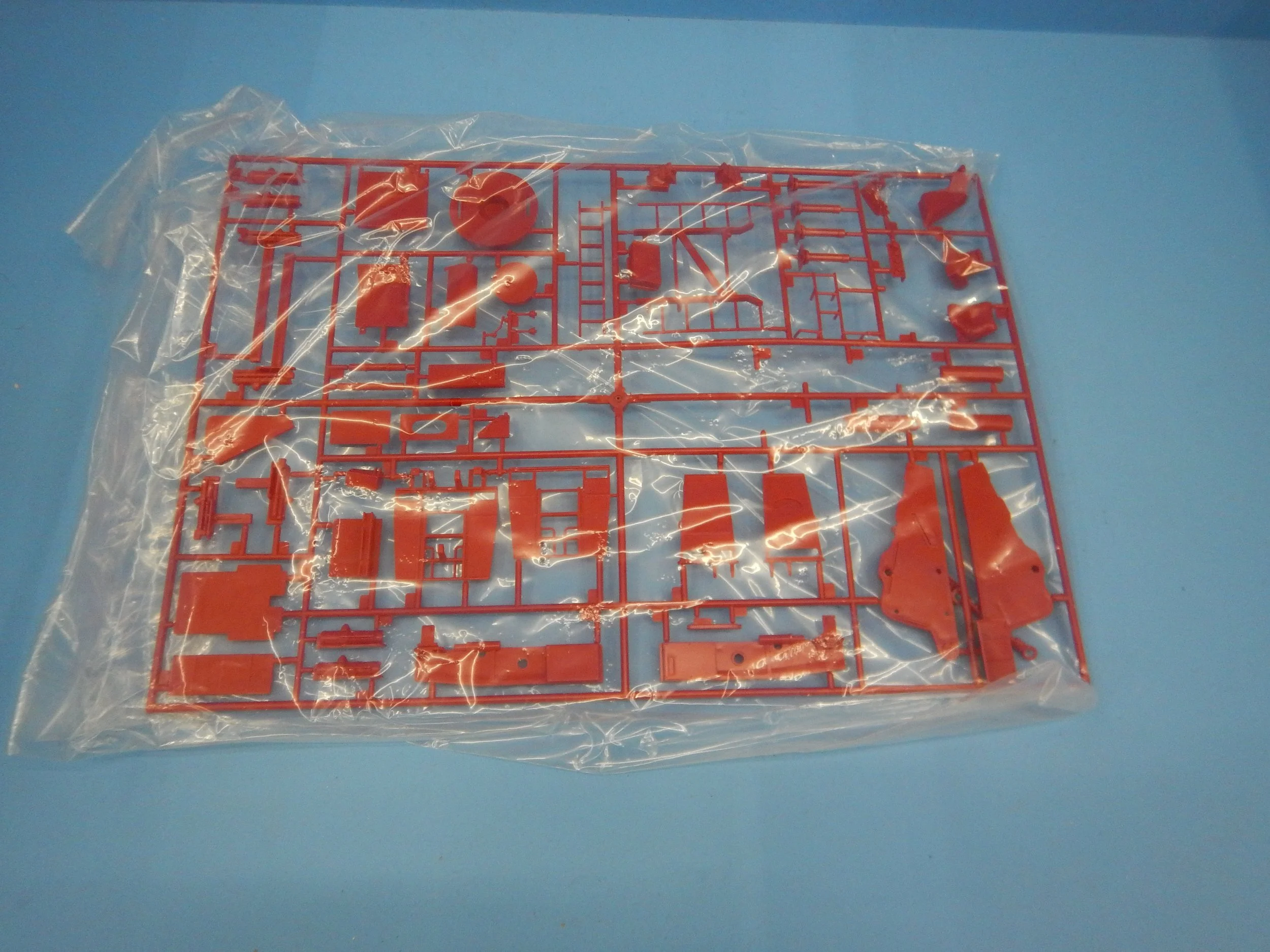DSCN9783.JPG