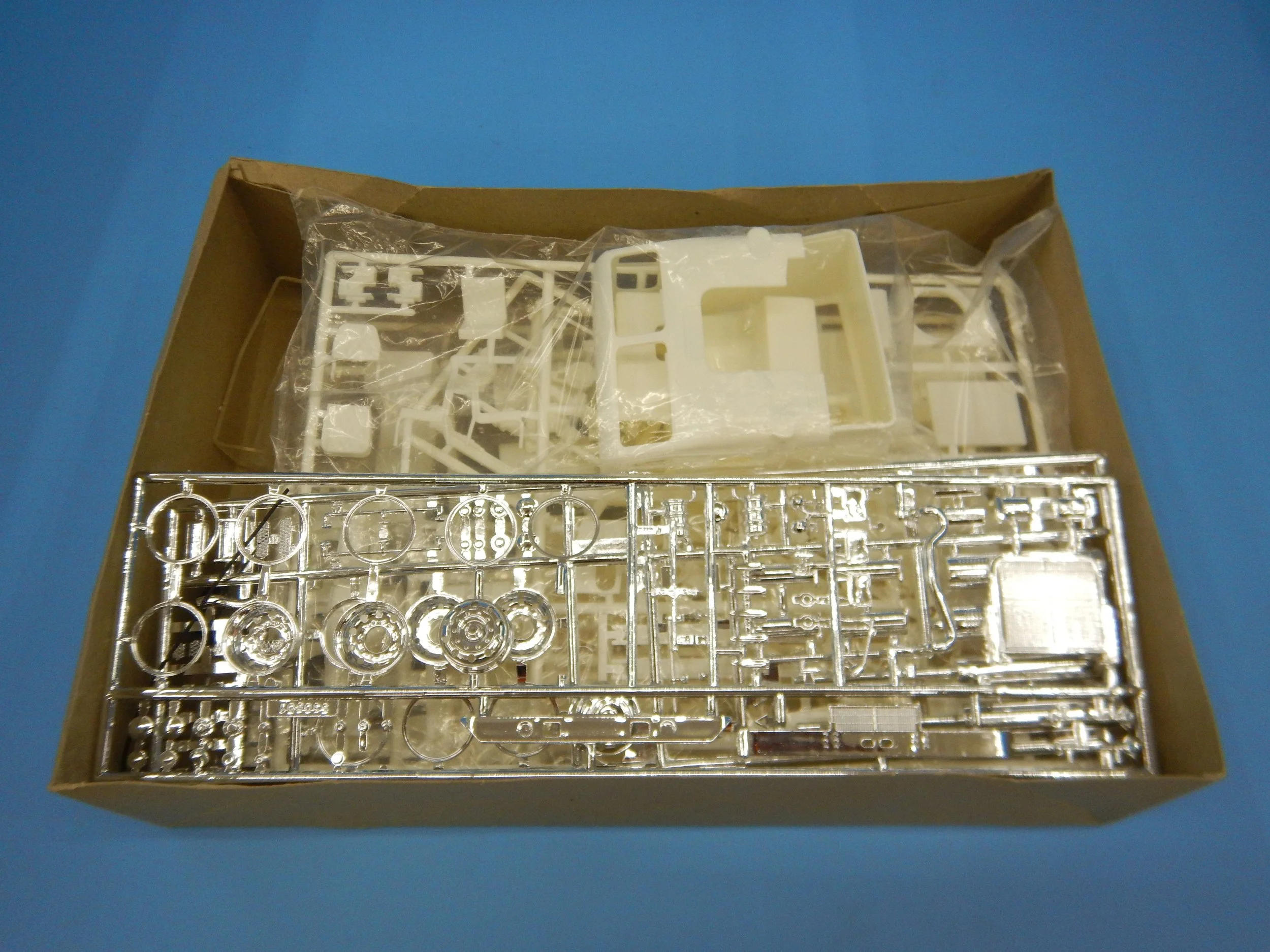 DSCN1545.JPG