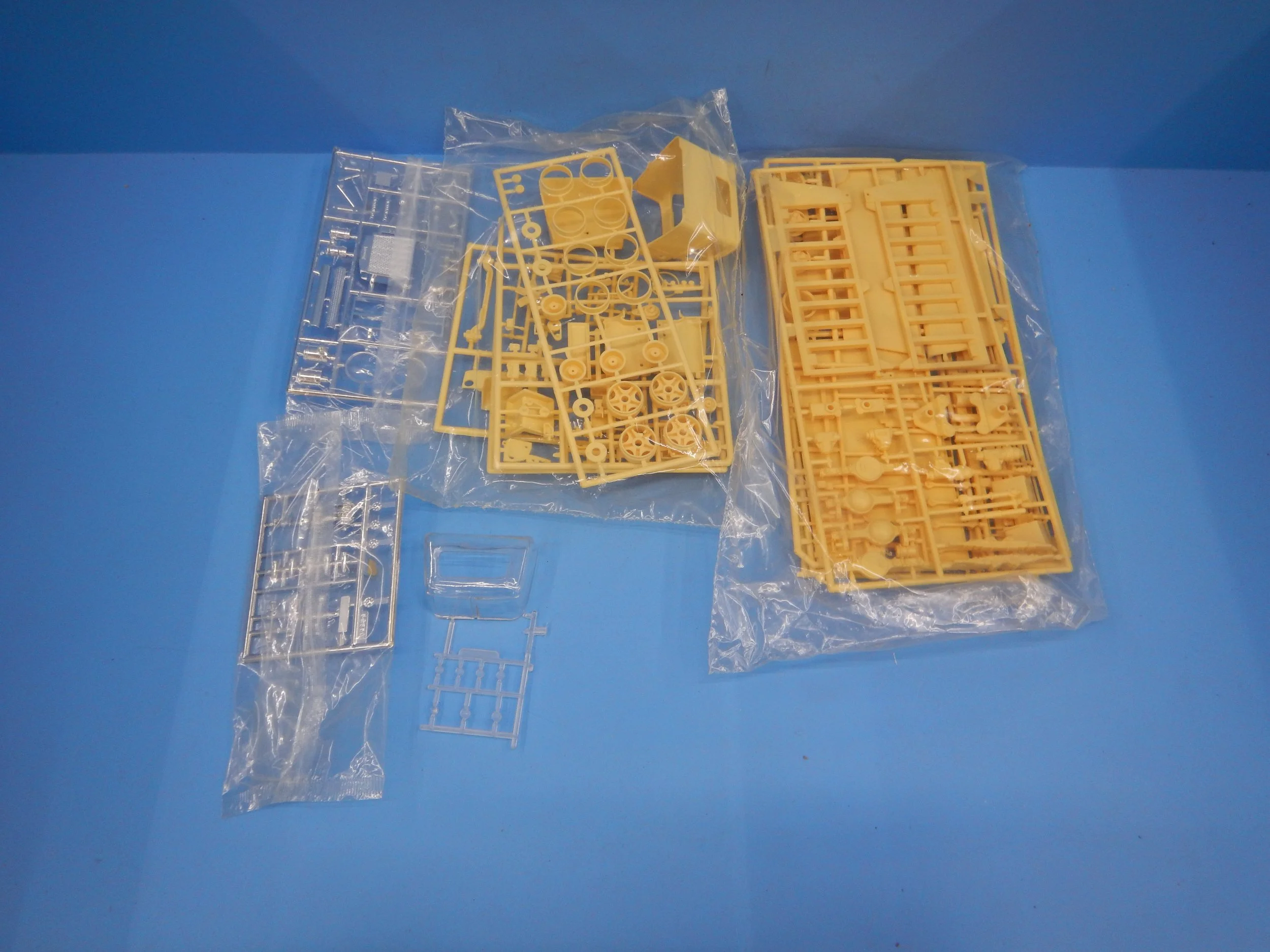 DSCN2015.JPG