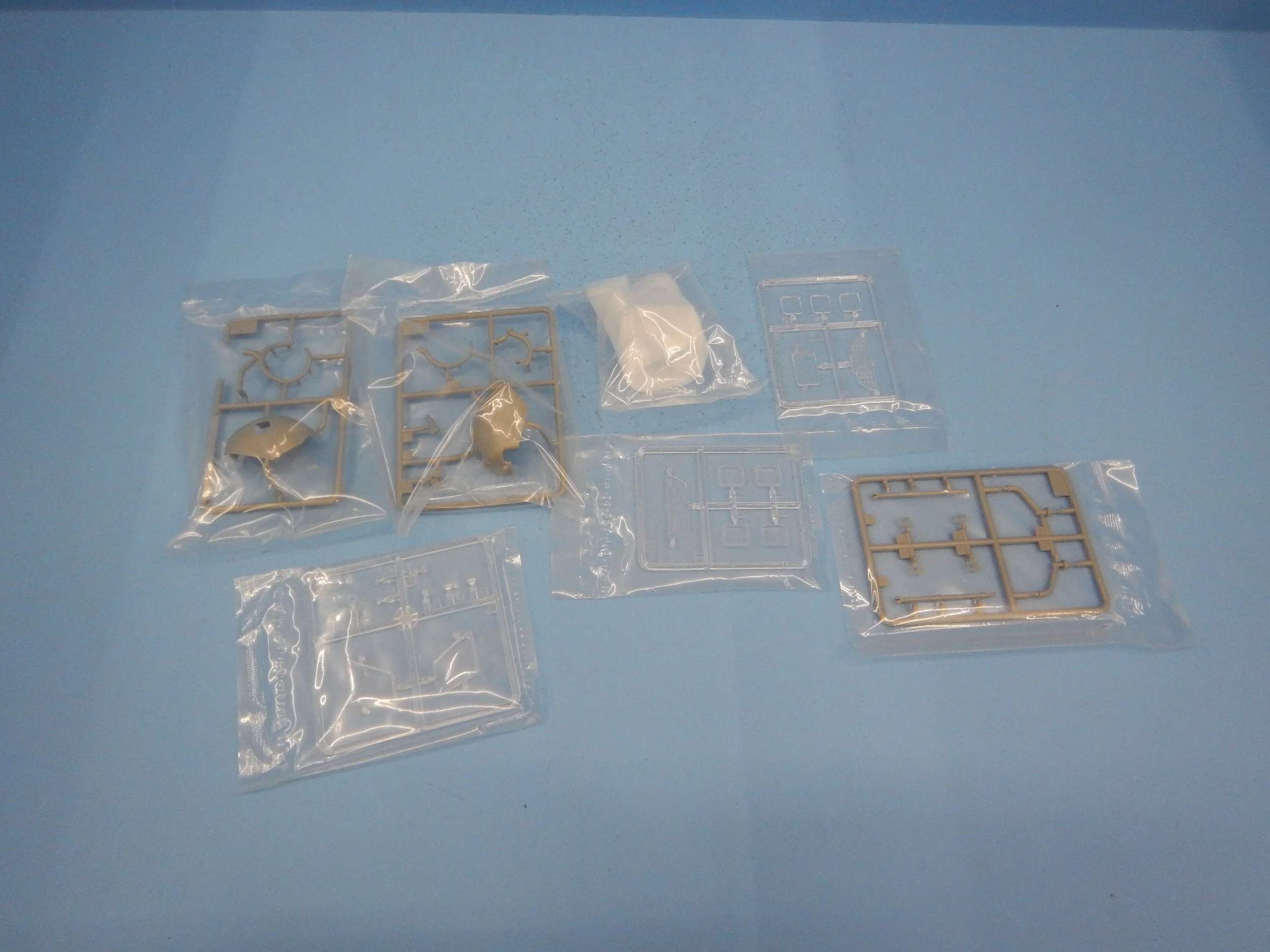 DSCN9688.JPG