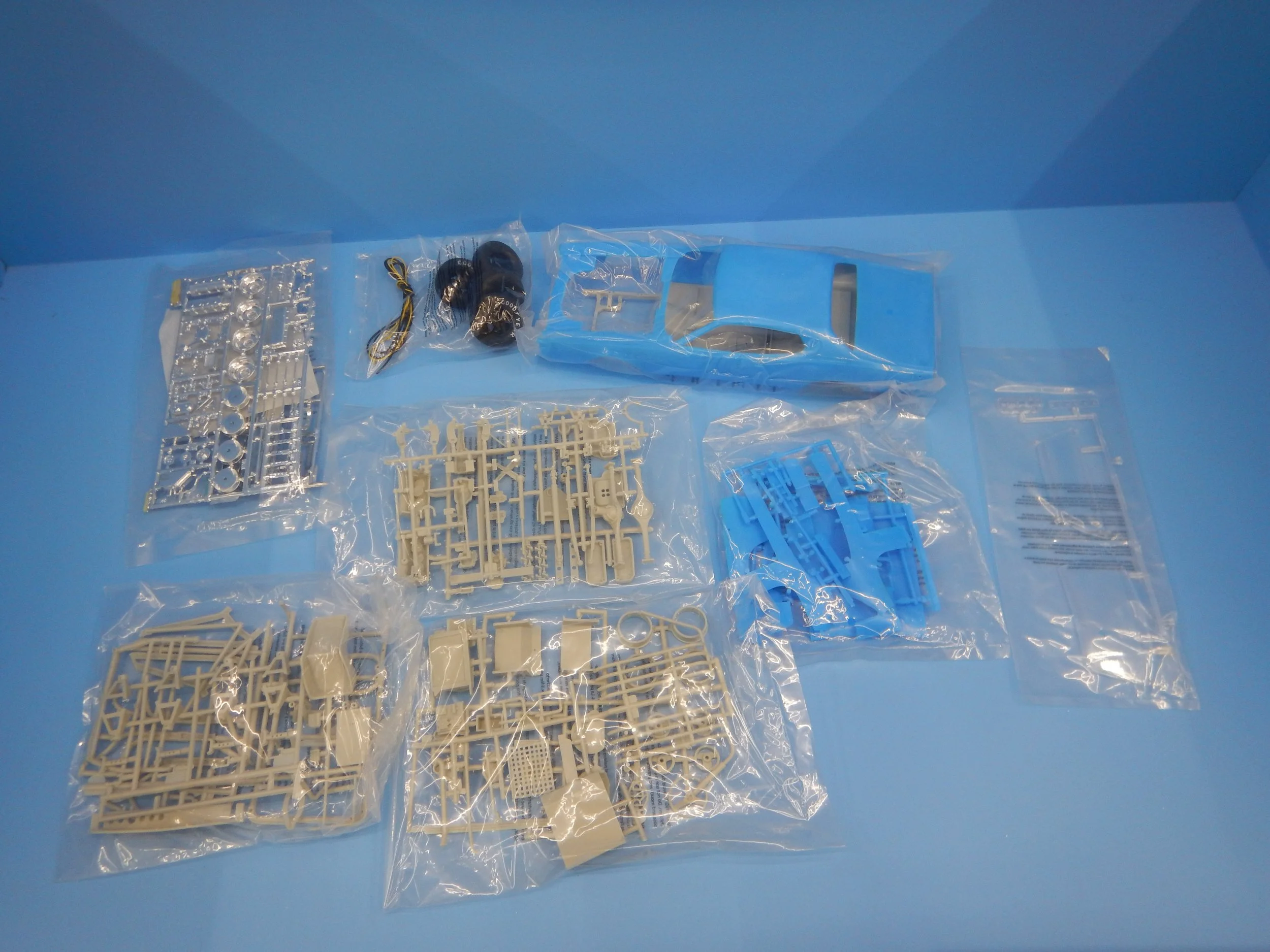 DSCN8357.JPG