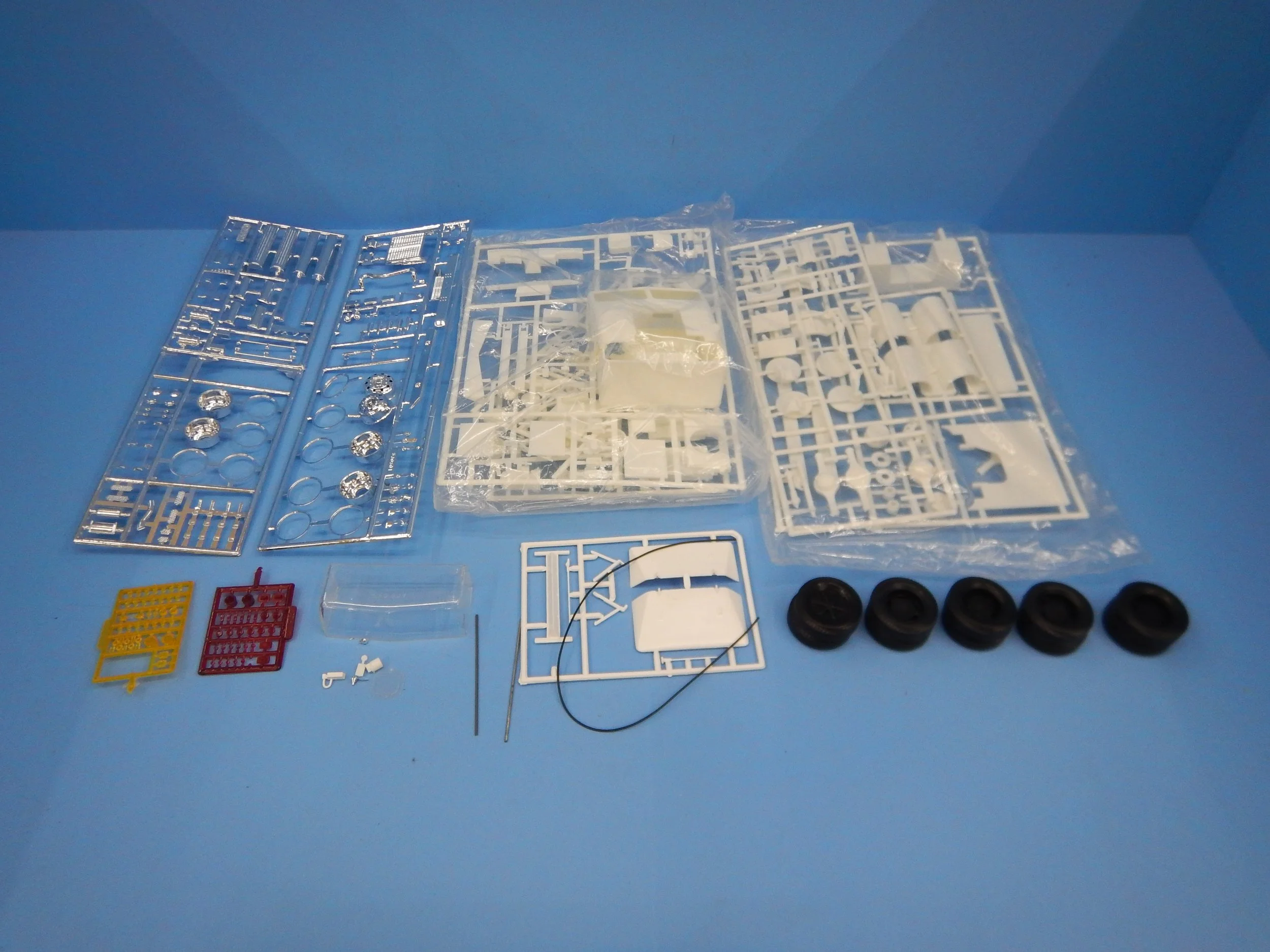 DSCN1546.JPG