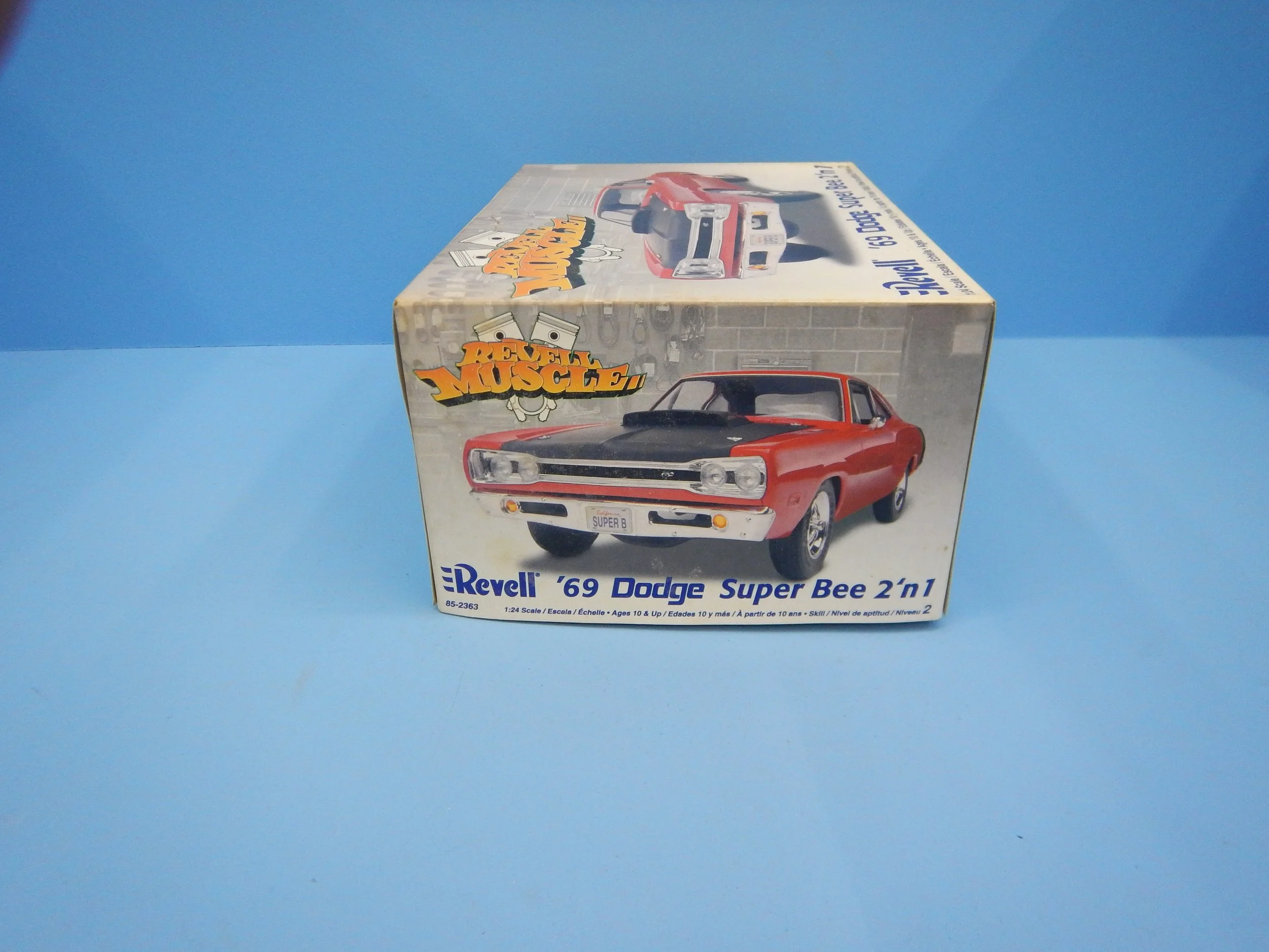 DSCN8519.JPG