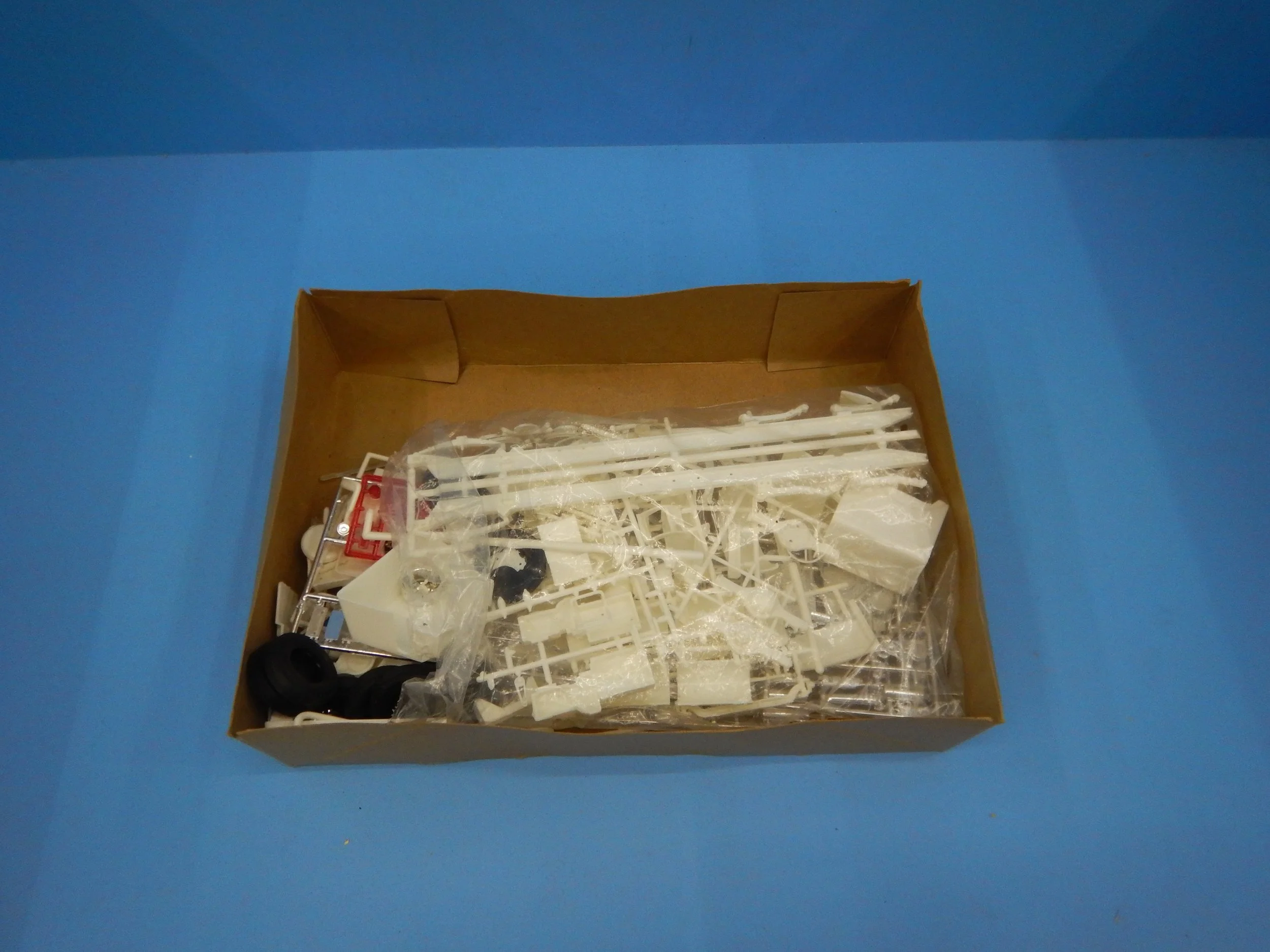 DSCN1605.JPG
