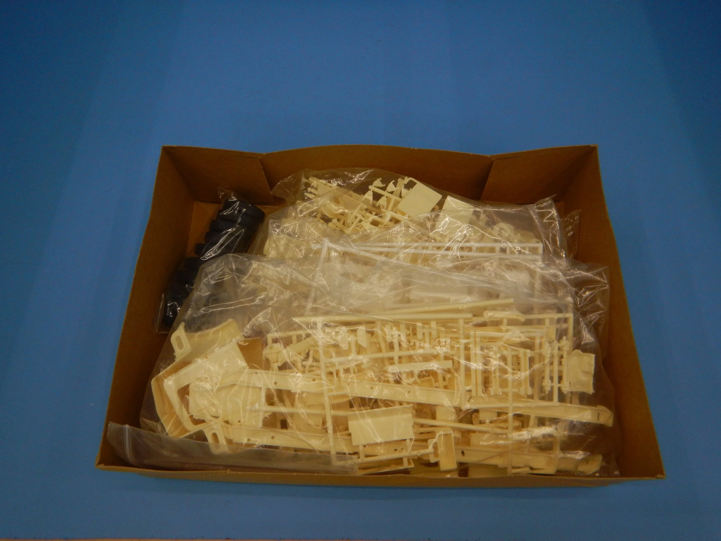 DSCN9525.JPG