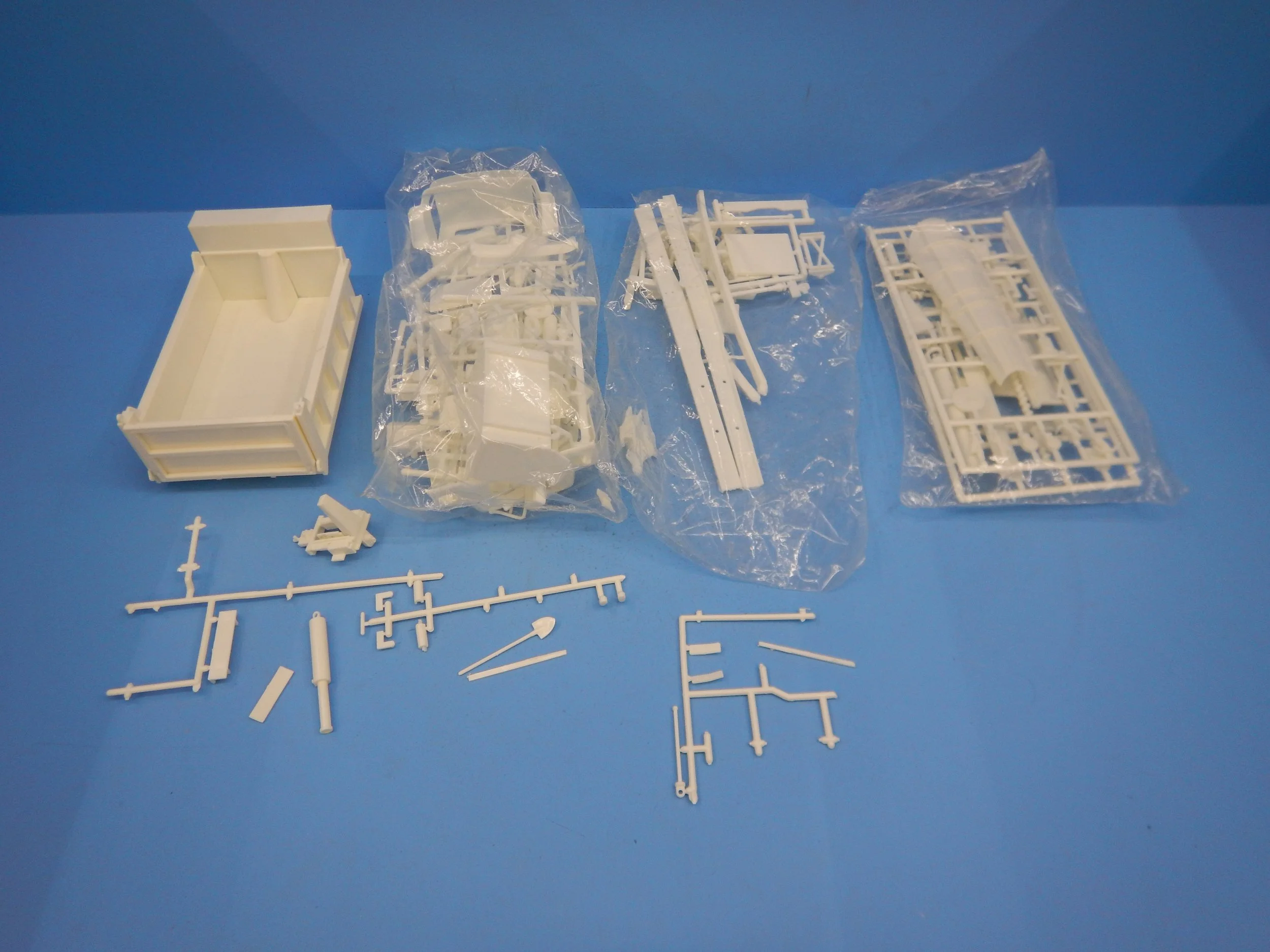 DSCN9556.JPG