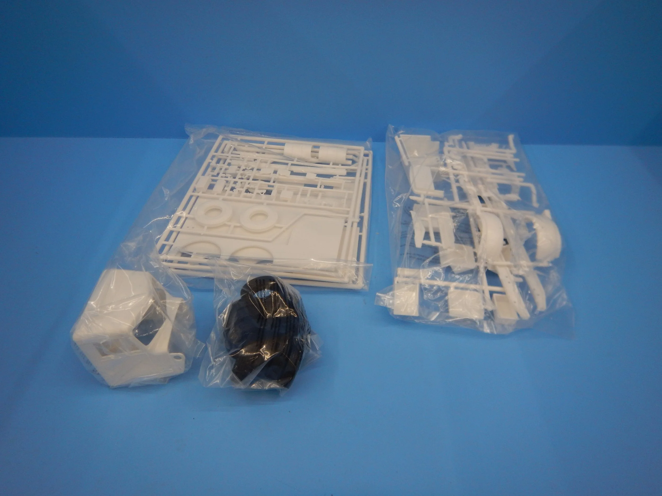 DSCN8431.JPG
