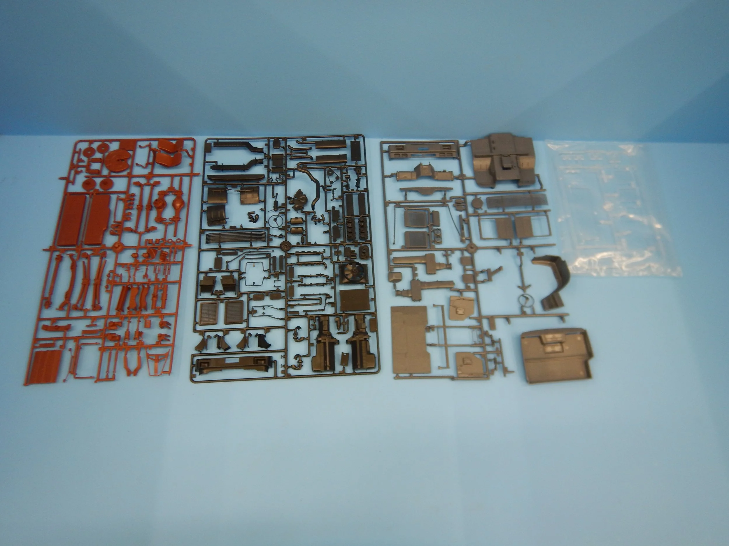 DSCN8655.JPG