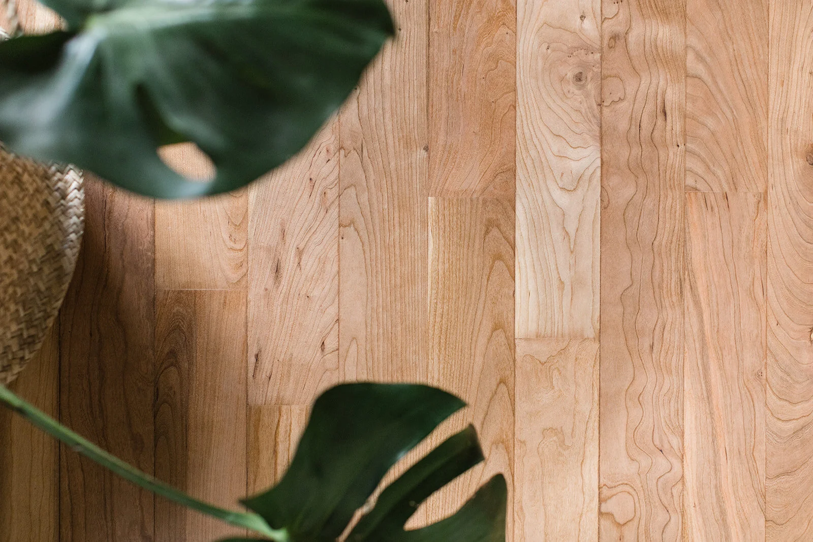 Eco friendly flooring Nelson