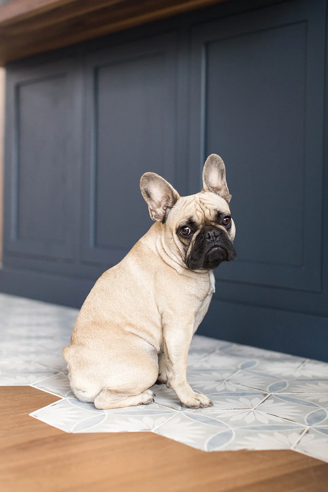 porcelain vs ceramic which is better ?