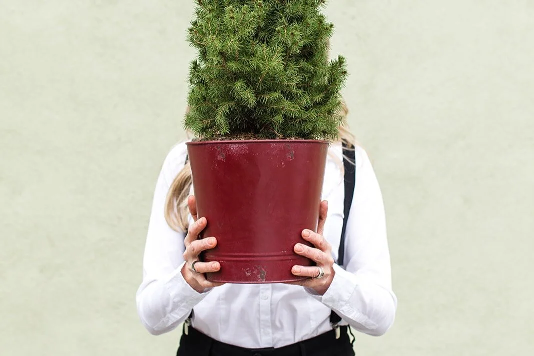 The Holidays are Here - Protect Your Hardwood Floors