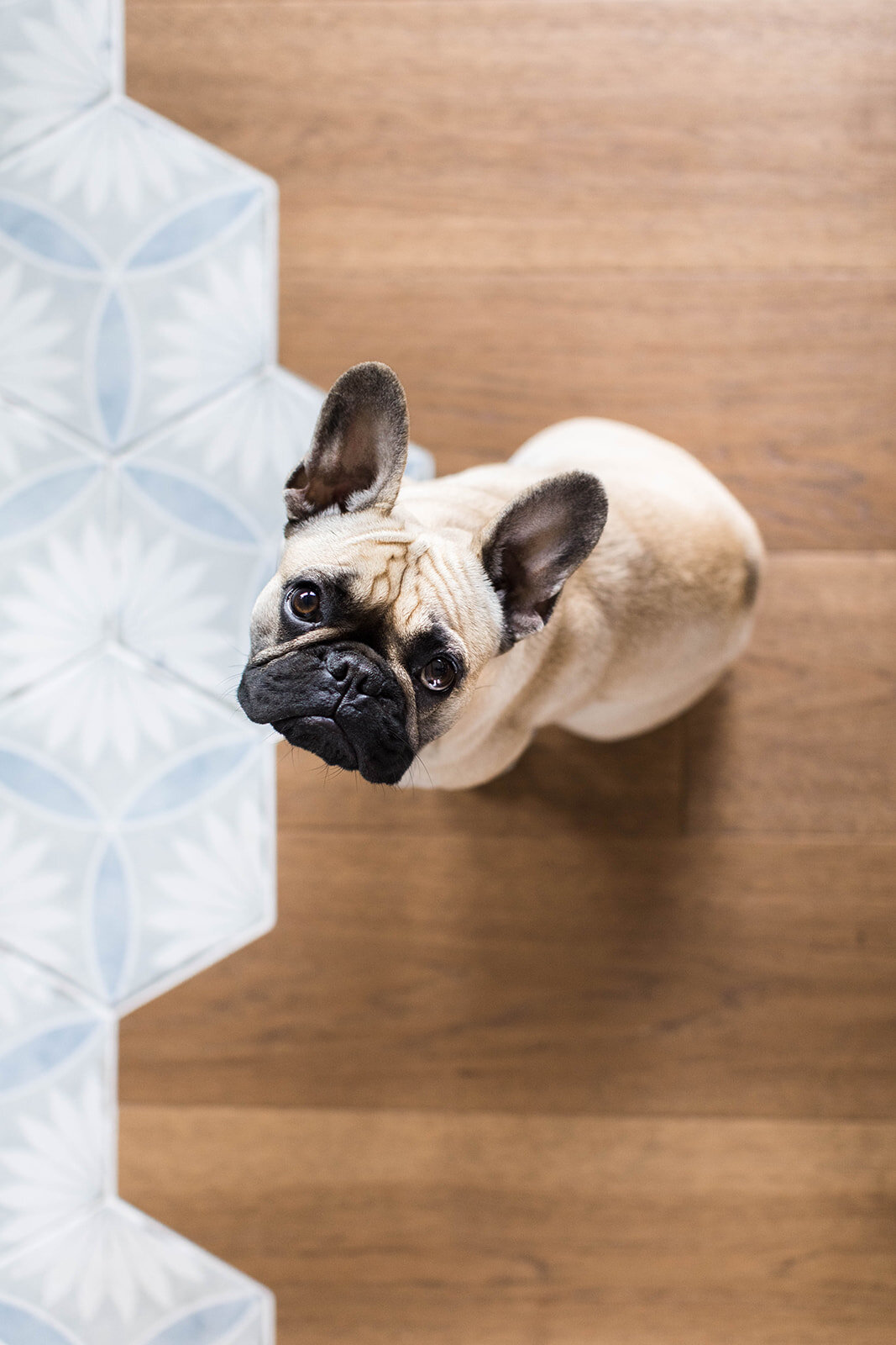 Hickory engineered flooring, Tile in Kitchen, custom millwork