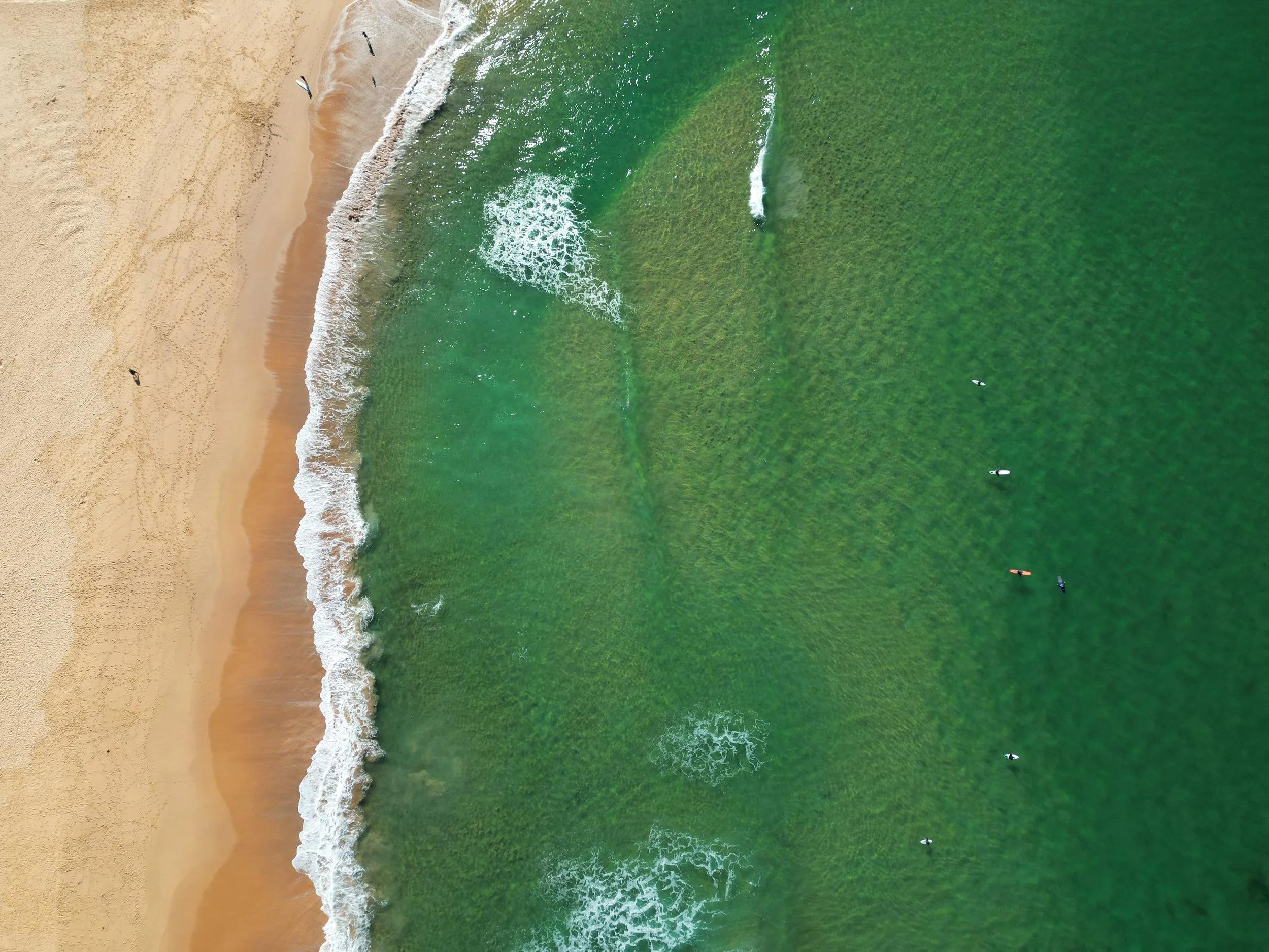 Surfers