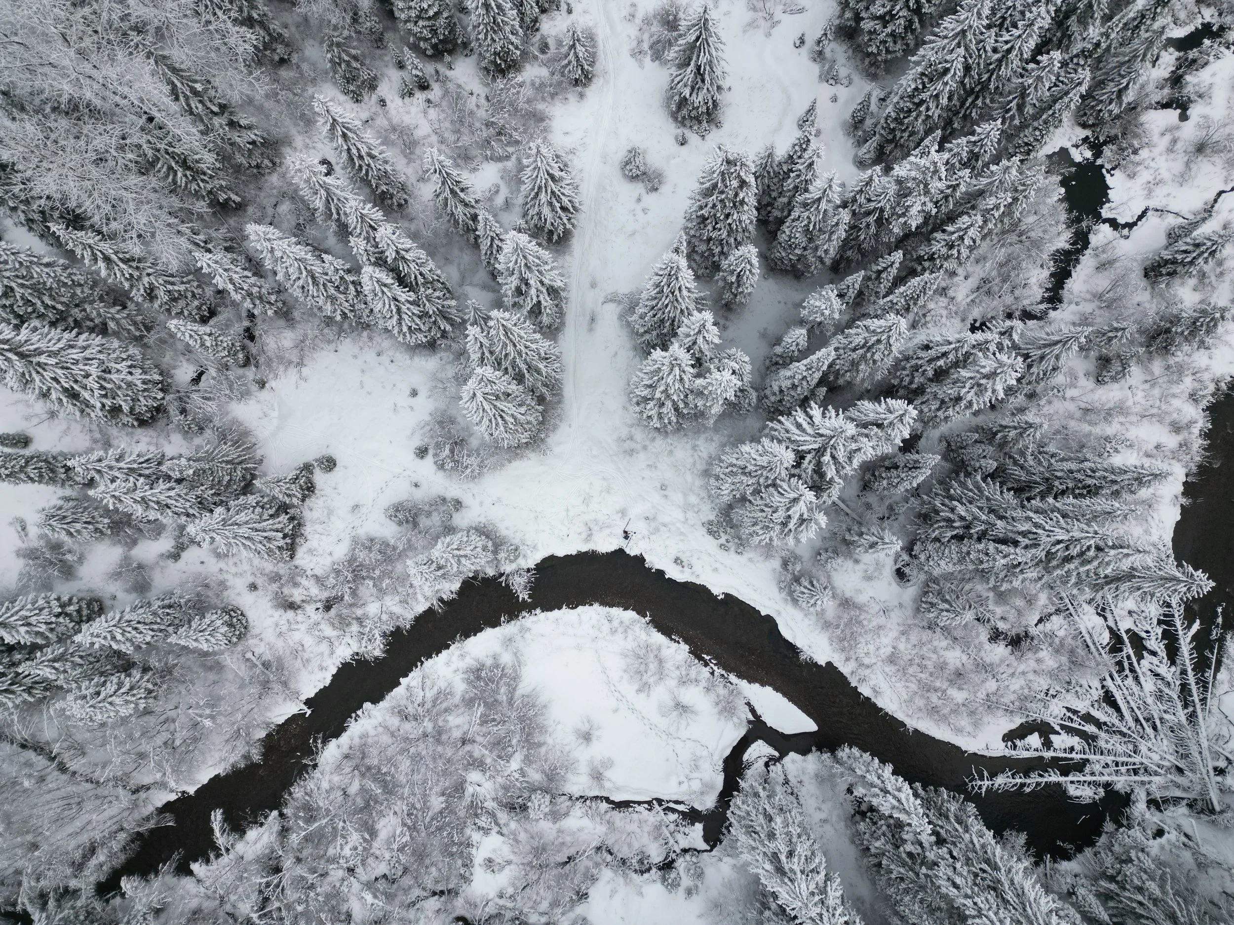 Snowy Creek