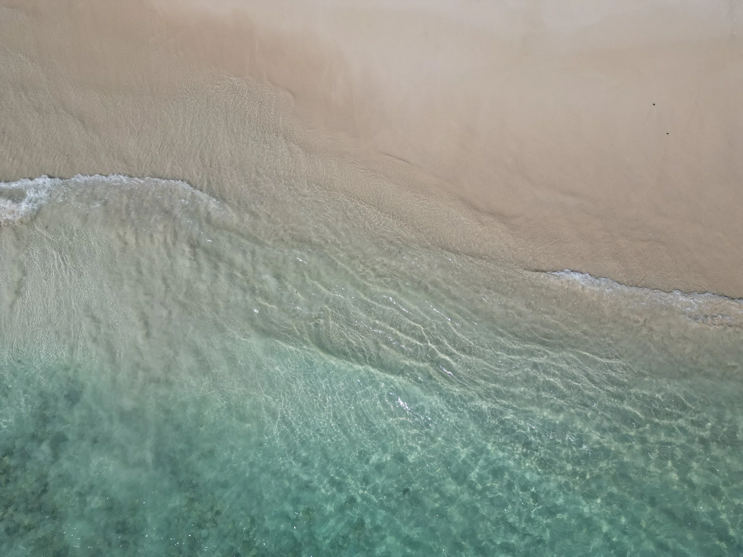 Ocean
