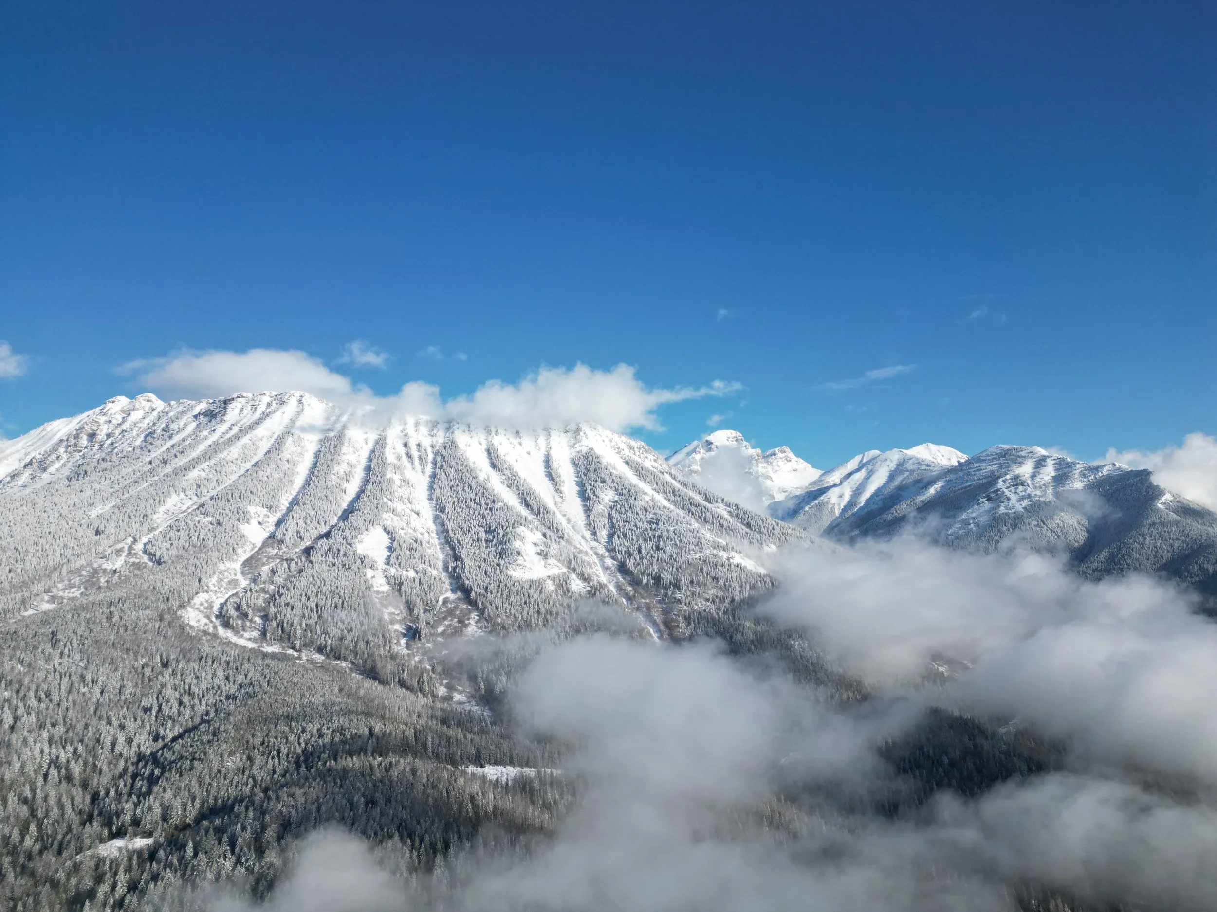 Mt Fernie