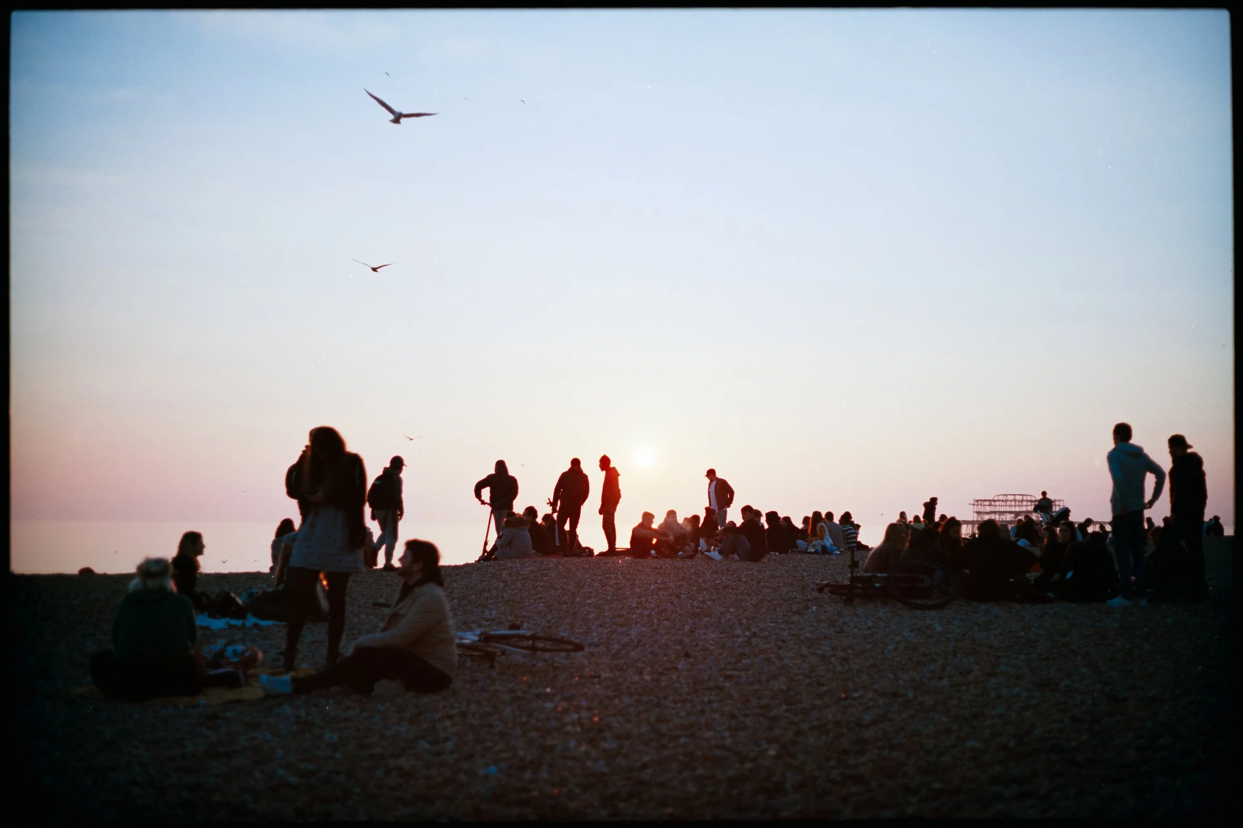 brighton 35mm photography beach sunset