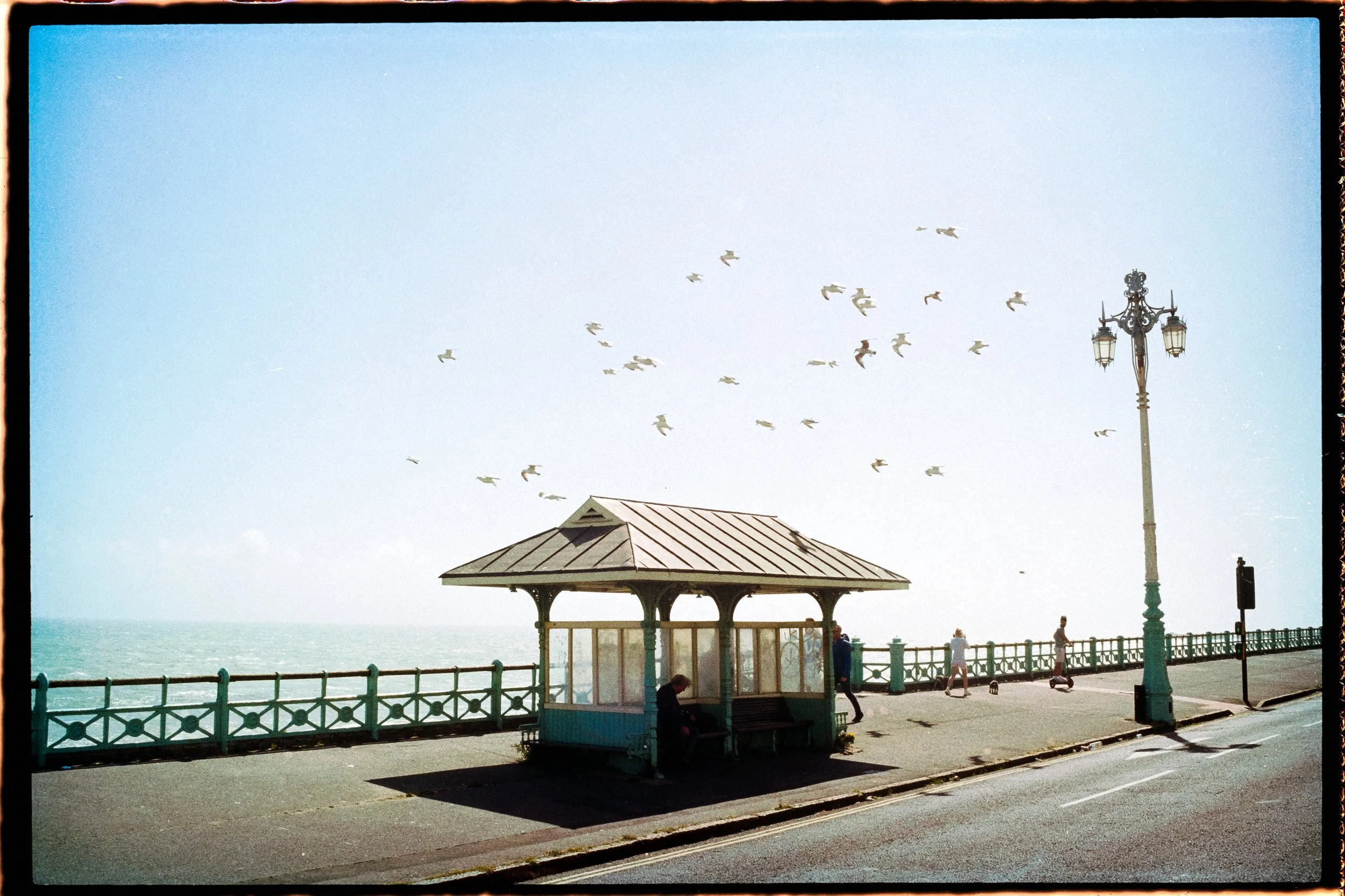 brighton 35mm photography beach sunset