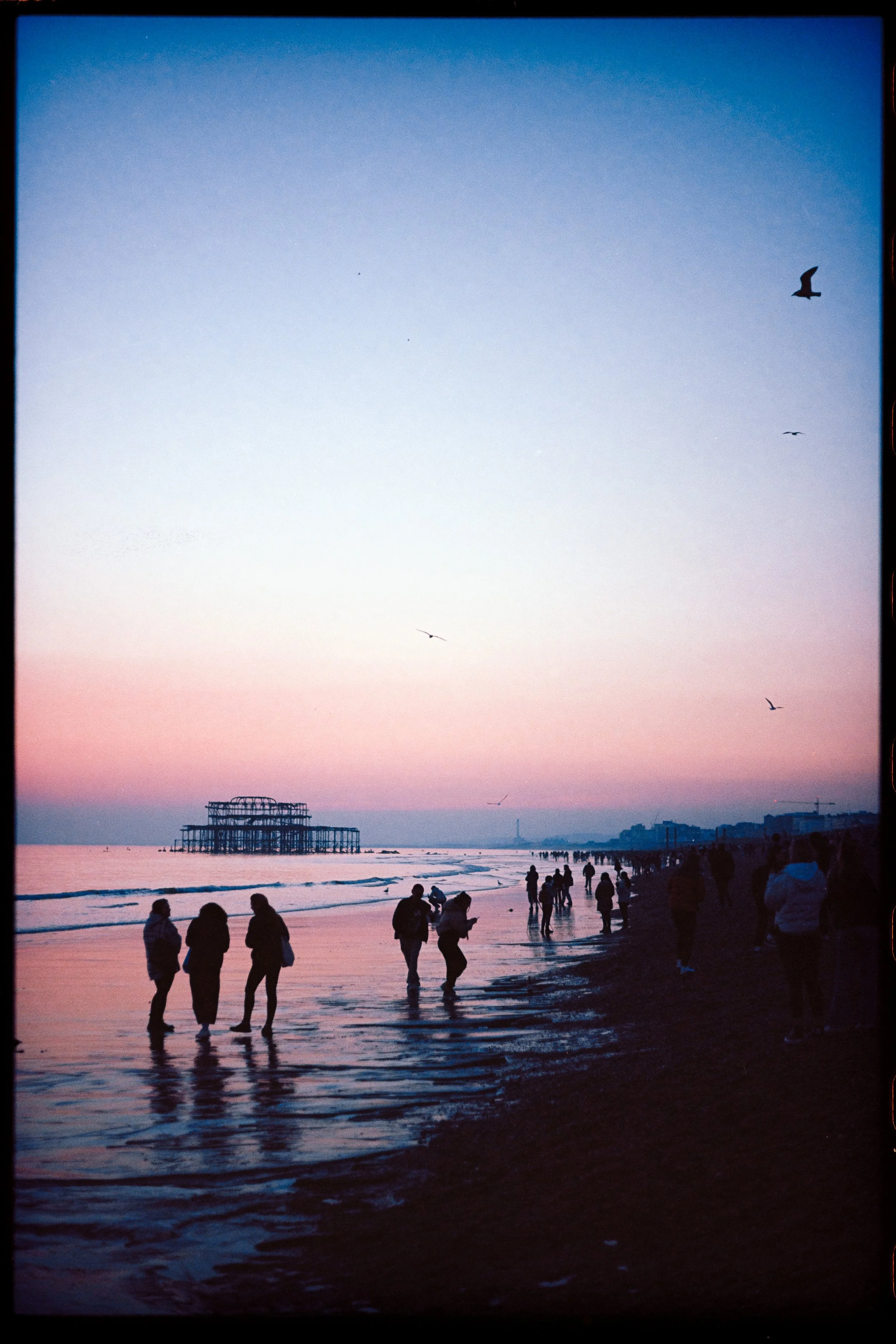 brighton 35mm photography beach sunset