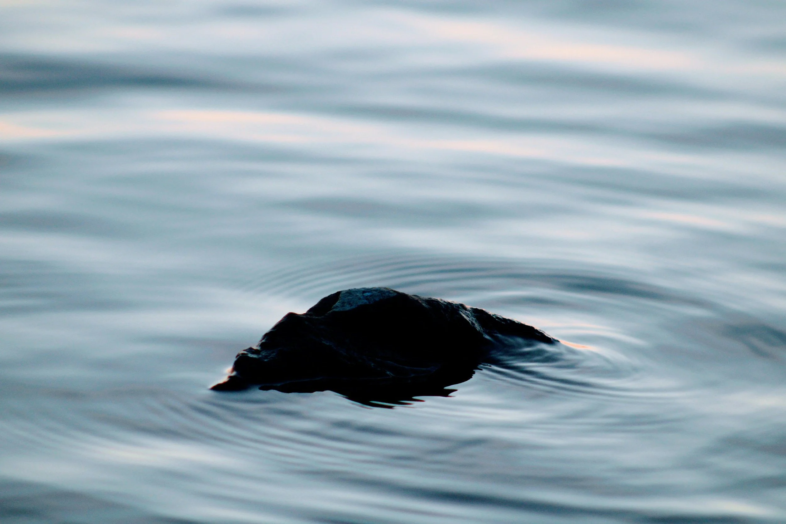 A large black rock emerging from calm water, with gentle ripples and a soft, cloudy sky reflected on the surface.