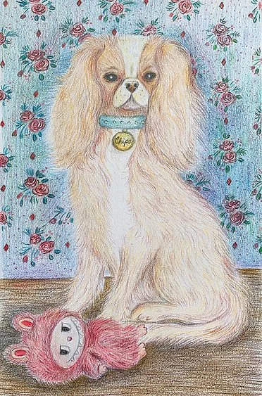Portrait of dog in coloured pencil by illustrator Stephanie Hofmann