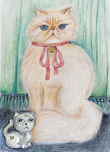 Portrait of cat in coloured pencil by illustrator Stephanie Hofmann