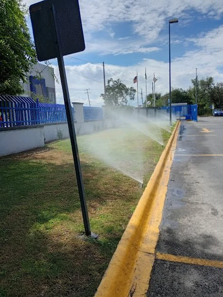 IMG_20250620_152504477_HDR.jpg