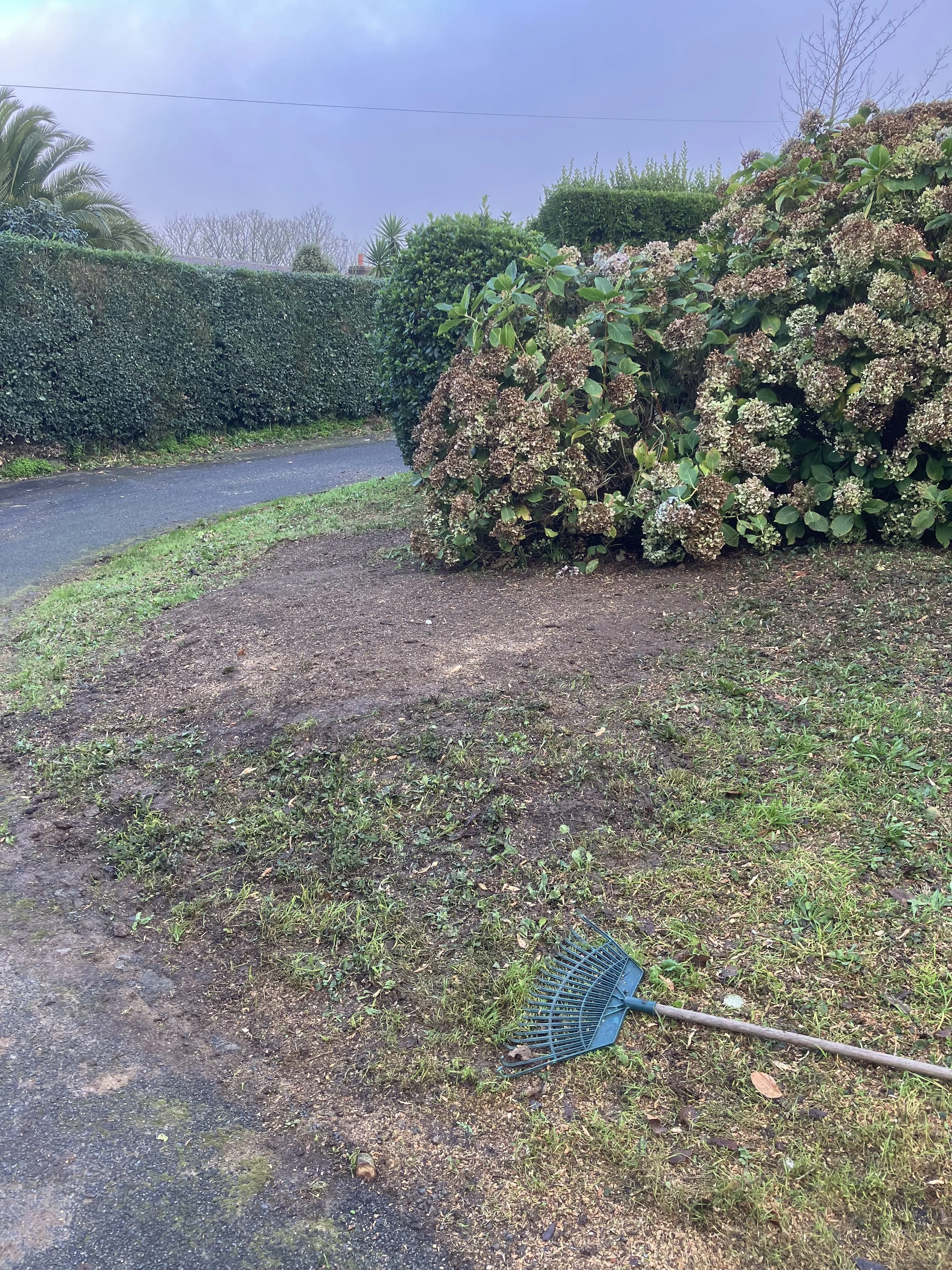 A garden scene with bushes and trees, a pathway, and a fallen blue rake on the ground.