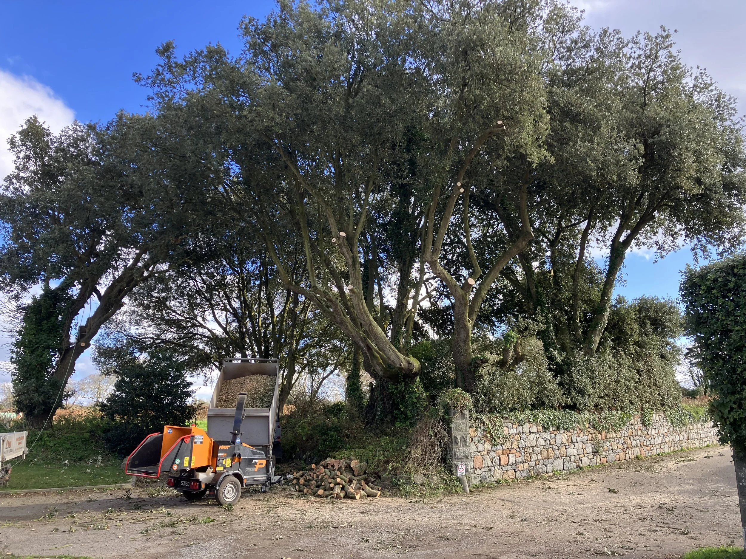 A large tree with dense green foliage stands behind some construction equipment and tools, including a wood chipper and a dumpster, near a stone wall and a small sign at ground level. The sky is partly cloudy with patches of blue.