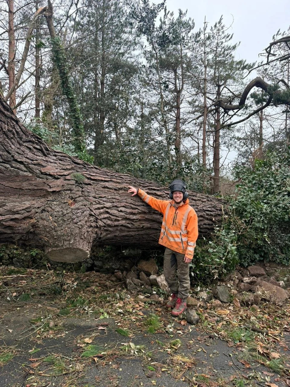 A person wearing an orange rain jacket, helmet, and boots smiling and pointing at a fallen large tree trunk in a forested area.