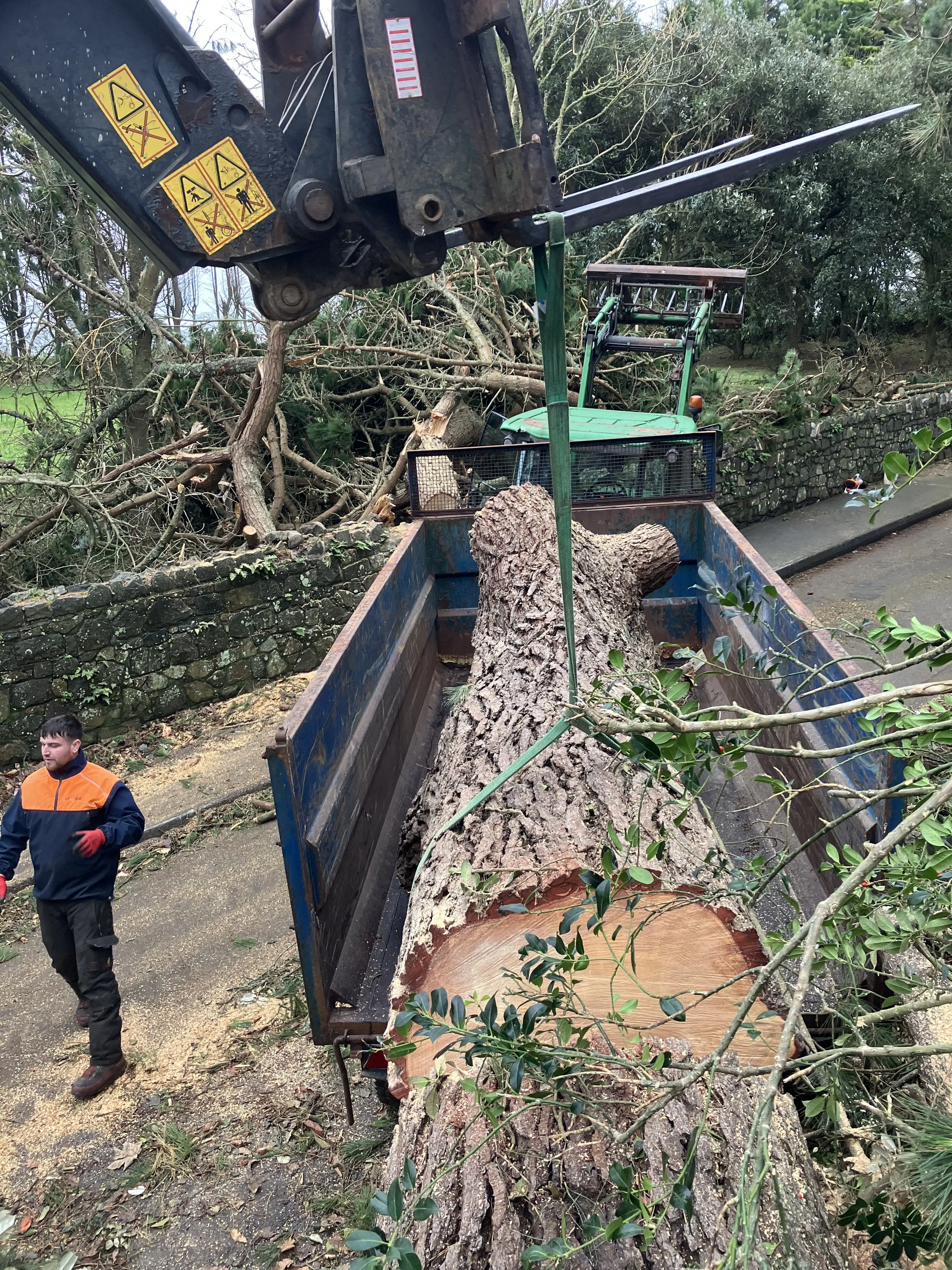 Tree removal operation with a truck and crane near a stone wall, large fallen tree trunk in the truck bed, and workers managing the debris.