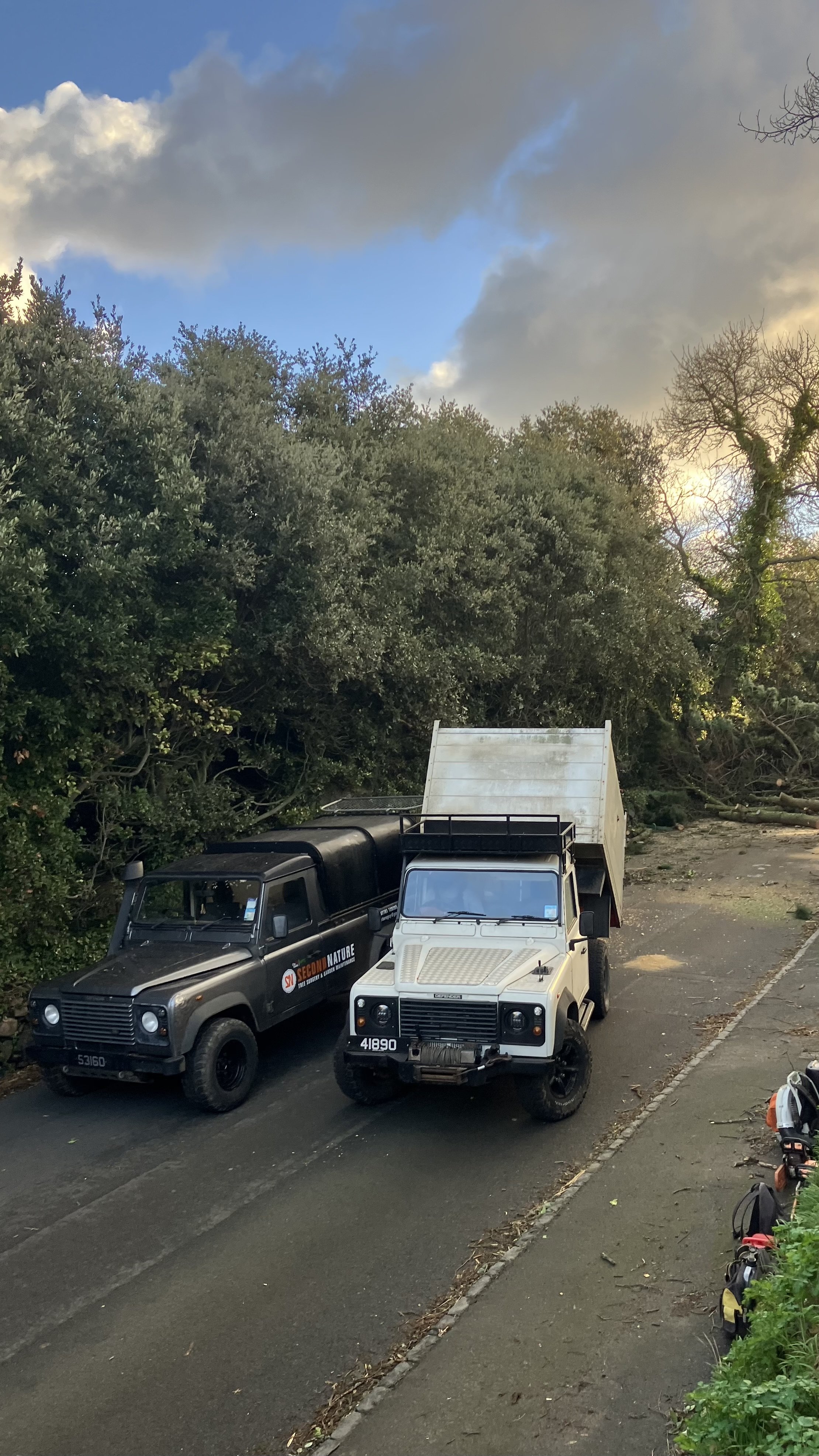 Two trucks parked on a street near a dense row of trees, with some equipment and tools visible on the sidewalk.