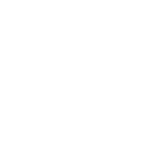 A black and white icon of a medal or award with a star in the center, surrounded by a wavy border.