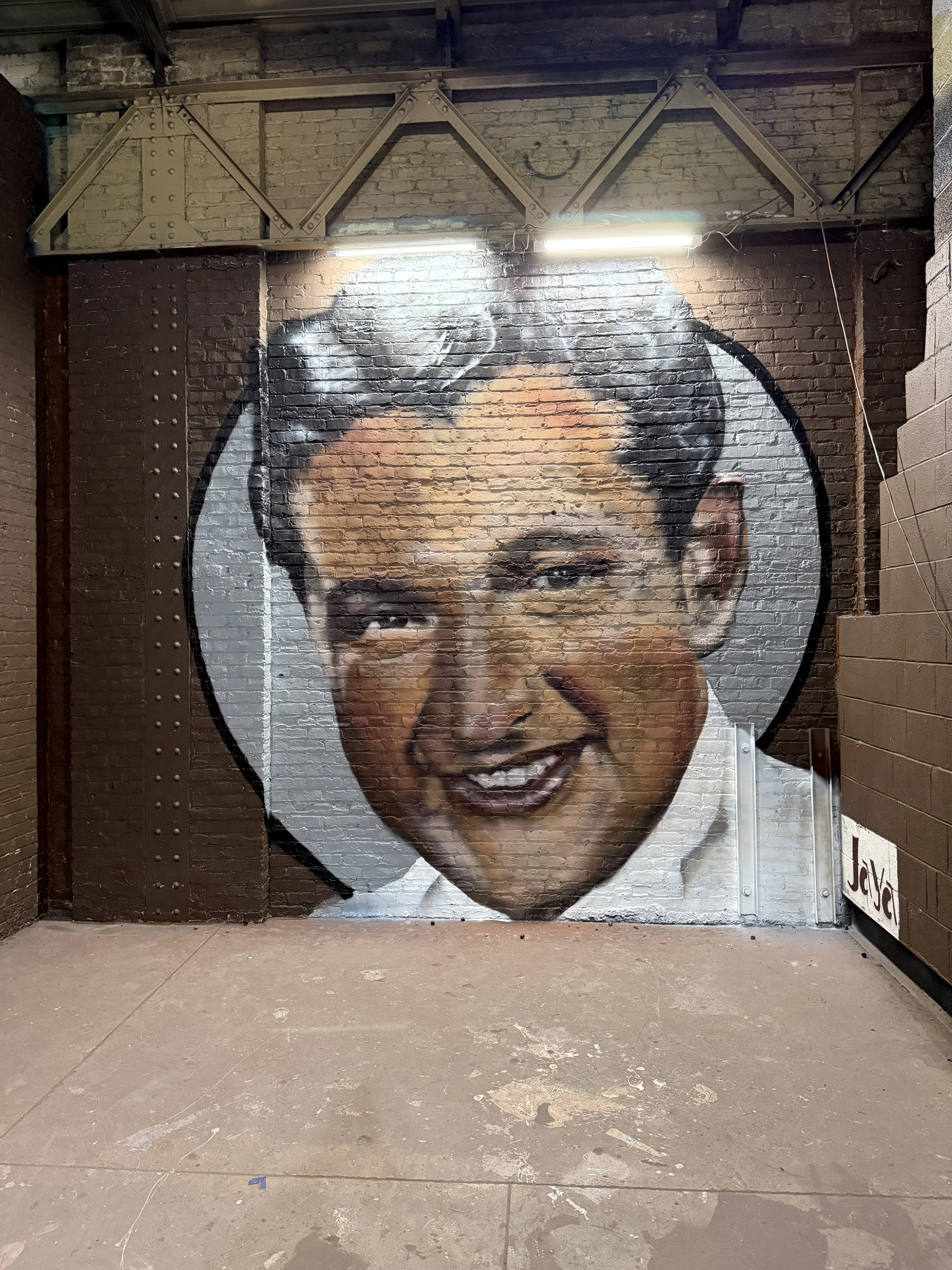 " LIBERACE " ( Portrait ) Spraypaint 15x12 ft. 